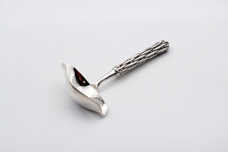Silvered Sauce Spoon in Silver Bronze For Sale