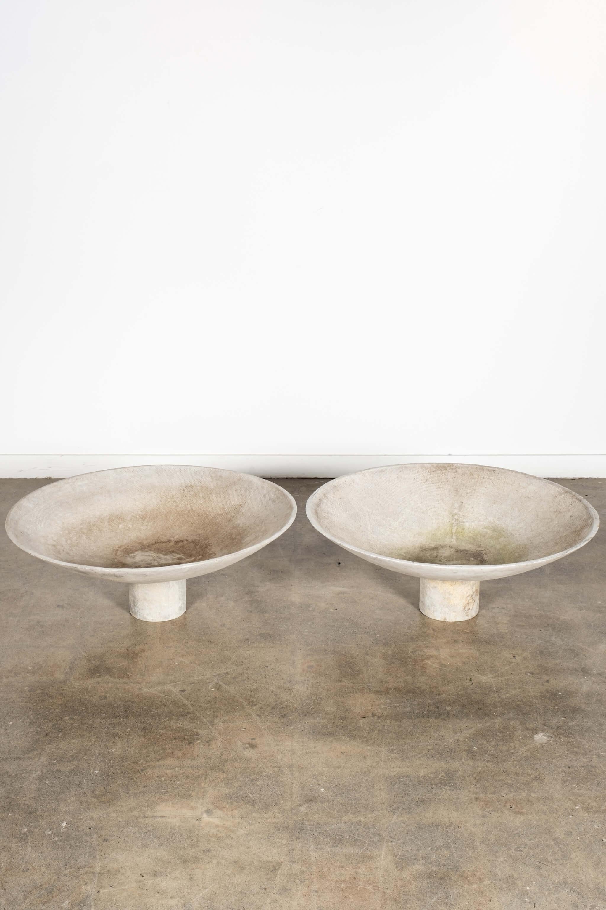Mid-20th Century Saucer Planter by Willy Guhl For Sale