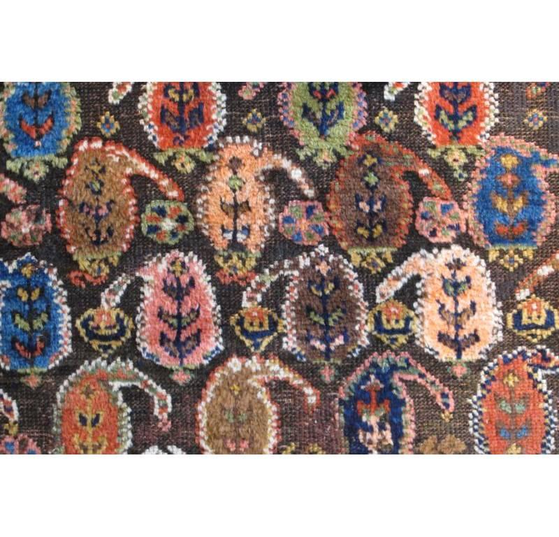 Wool Sauj Bulagh Rug, Late 19th Century