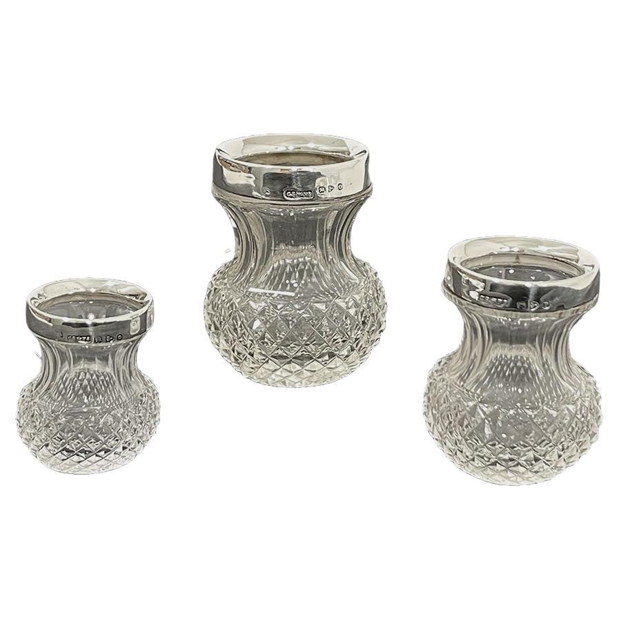 Saunders and Shepard Crystal and Silver Very Small Vases, 1897 For Sale