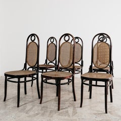 Sautto & Liberale Ensemble de salle à manger 6 chaises design vintage des années 50