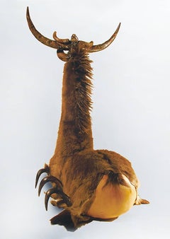 Savage-Pferdesesessel mit Eicheln und Büffeln und Wildschweinhornen