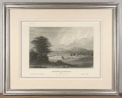 Savannah (Mosquito), Honduras – Antique Engraving, Central America, c.1850