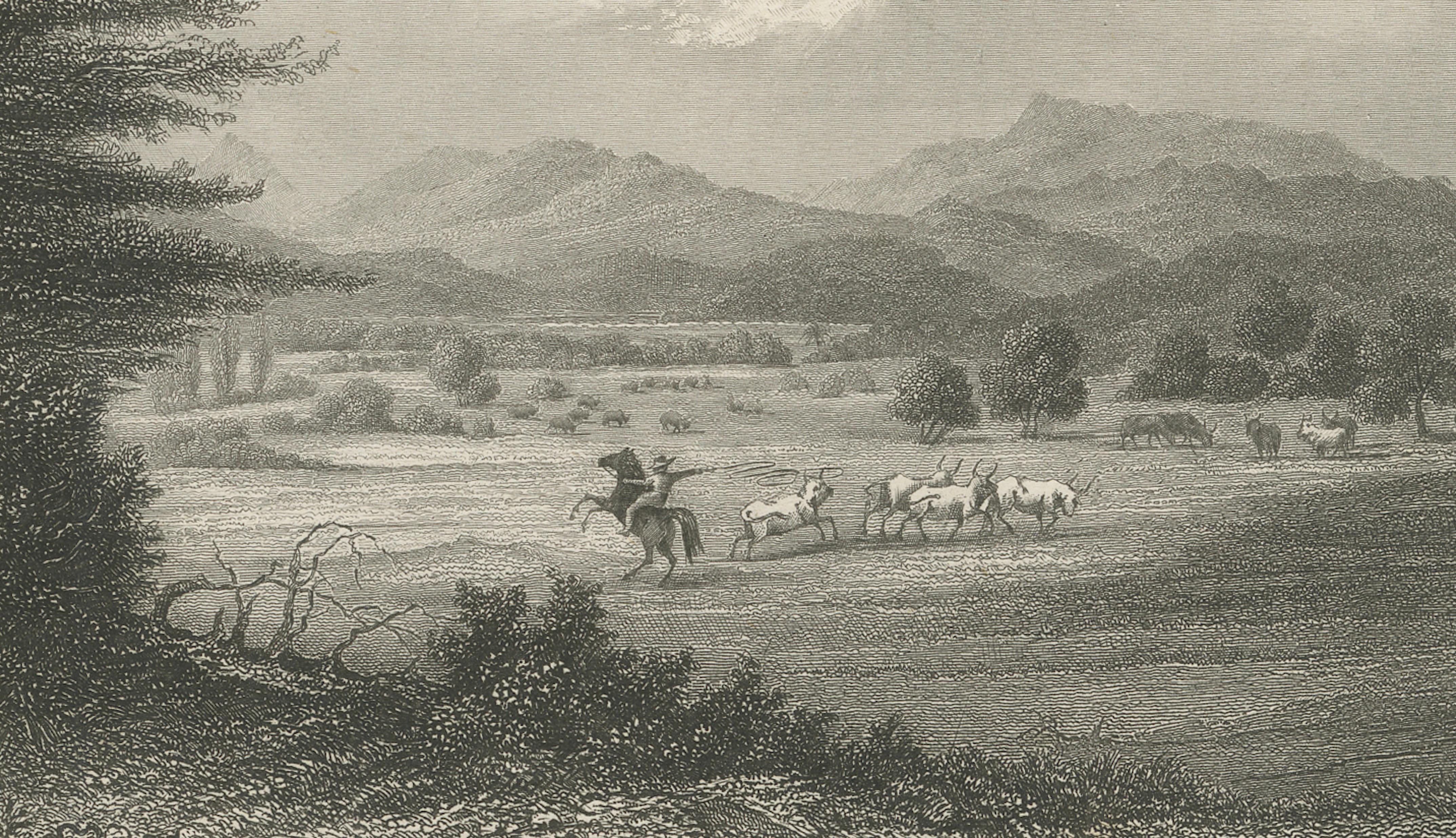 Savannah (Mosquito), Honduras – Antique Engraving, Central America, c.1850