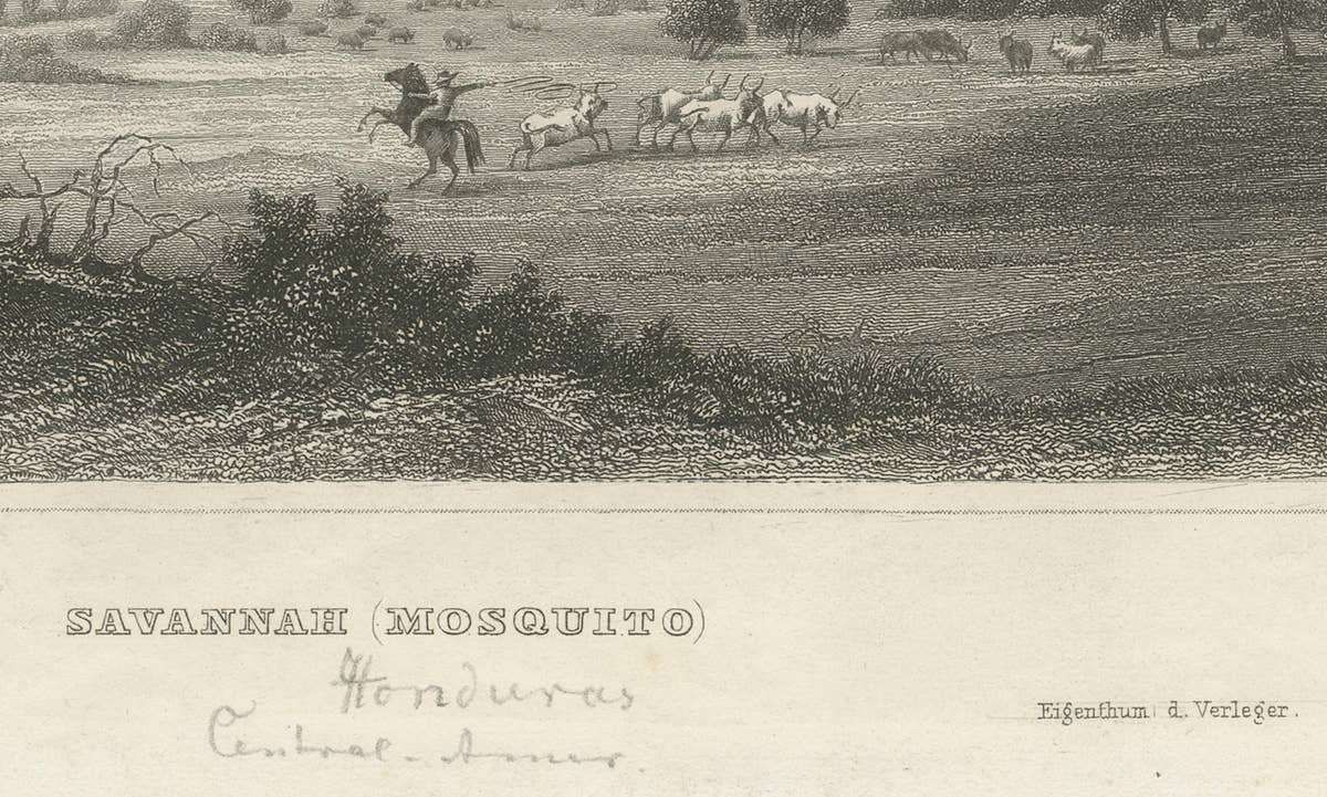 Savannah (Mosquito), Honduras – Antique Engraving, Central America, c.1850