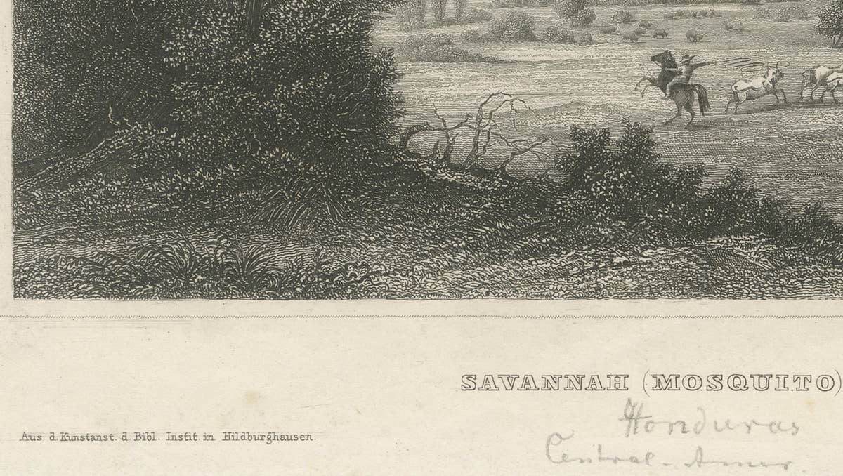 Savannah (Mosquito), Honduras – Antique Engraving, Central America, c.1850