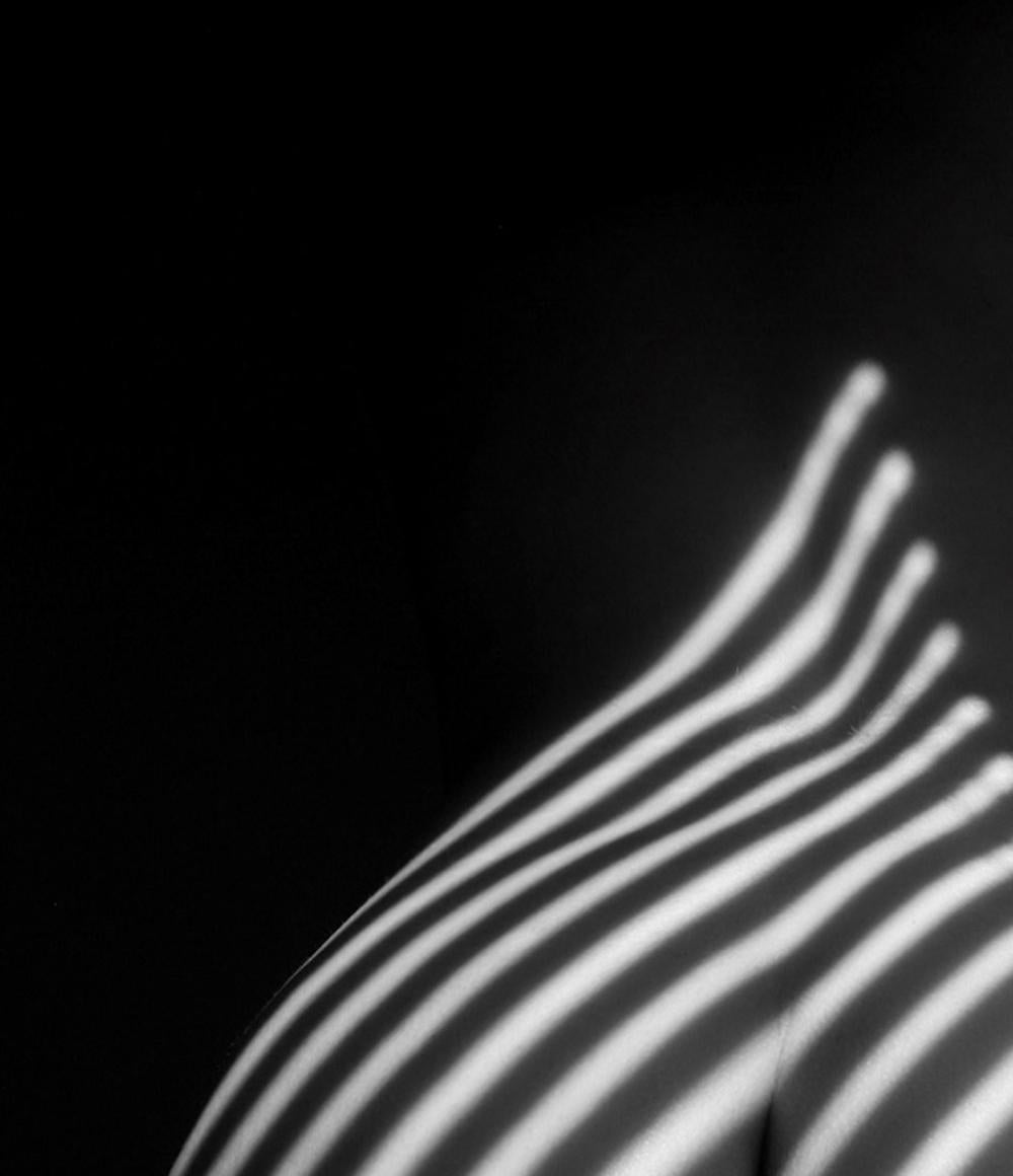 Savannah Spirit, Ende einer Ära (Schwarz-Weiß-Aktfotografie B&W) 2