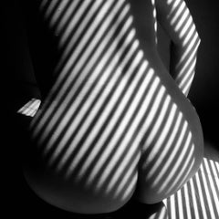Savannah Spirit The Bottom Line (Black and White Nude Photography B&W)