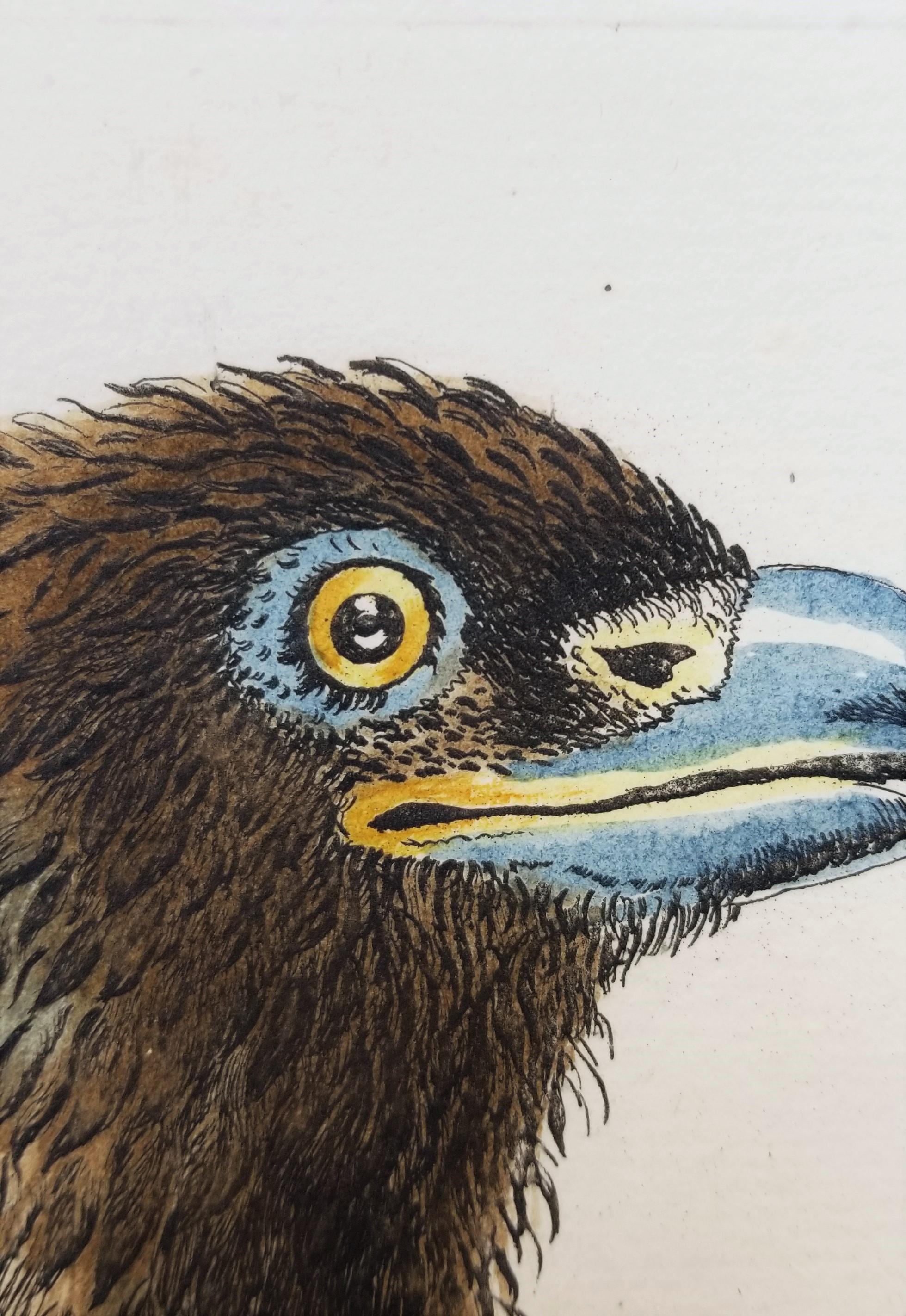 Eagle /// Antique Ornithology Bird Saverio Manetti Italian Watercolor Engraving For Sale 5