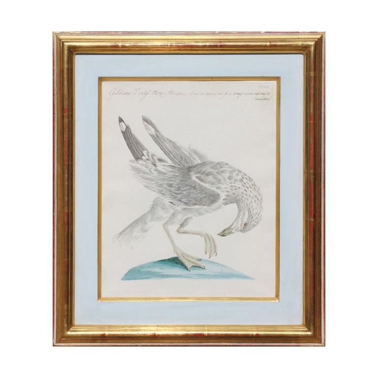 A group of six originally hand-colored engraving from Saverio Manetti's work 