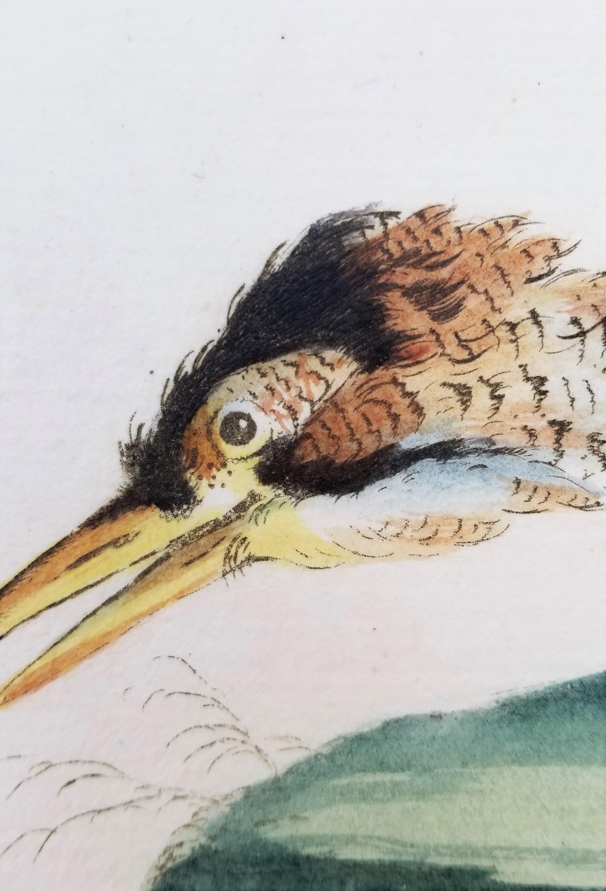 Heron 5