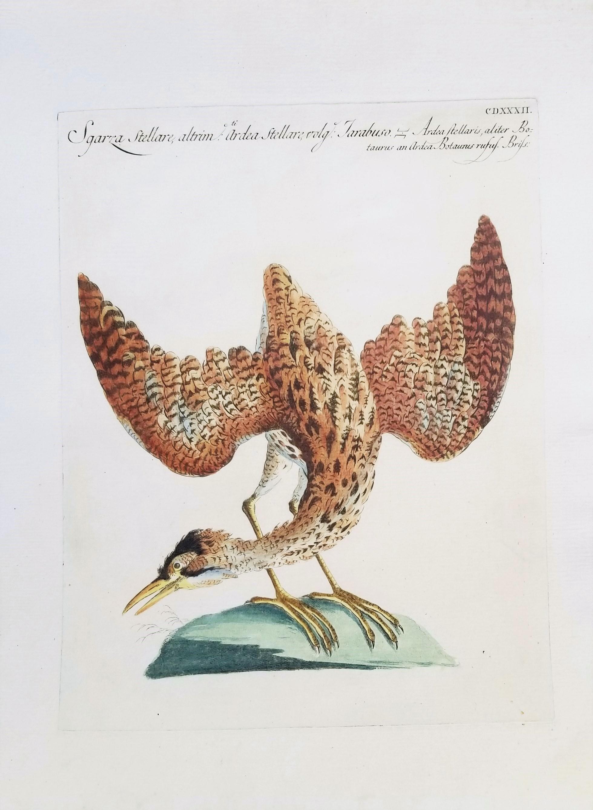 Heron - Print by MANETTI, Saverio.