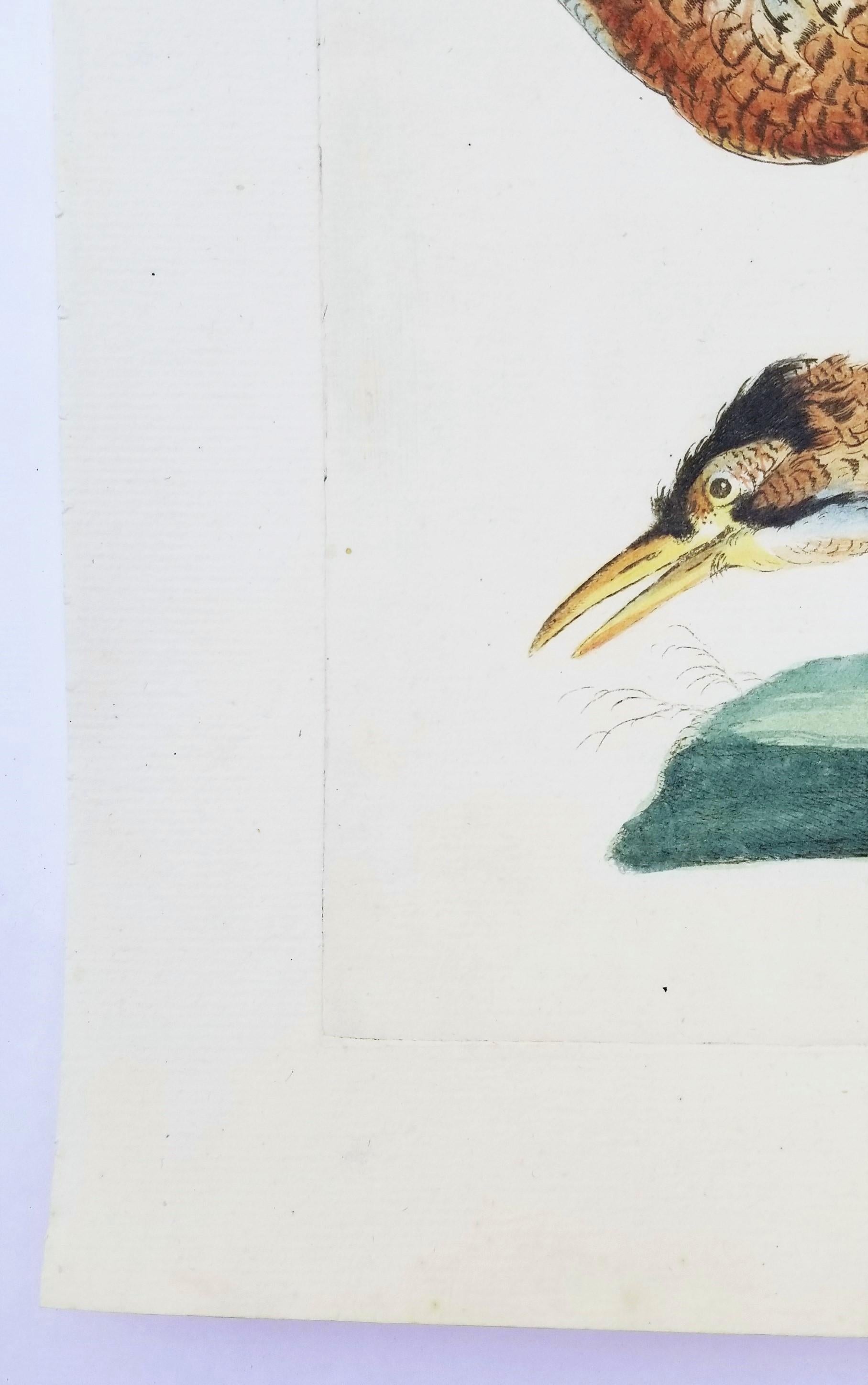 Heron - Old Masters Print by MANETTI, Saverio.