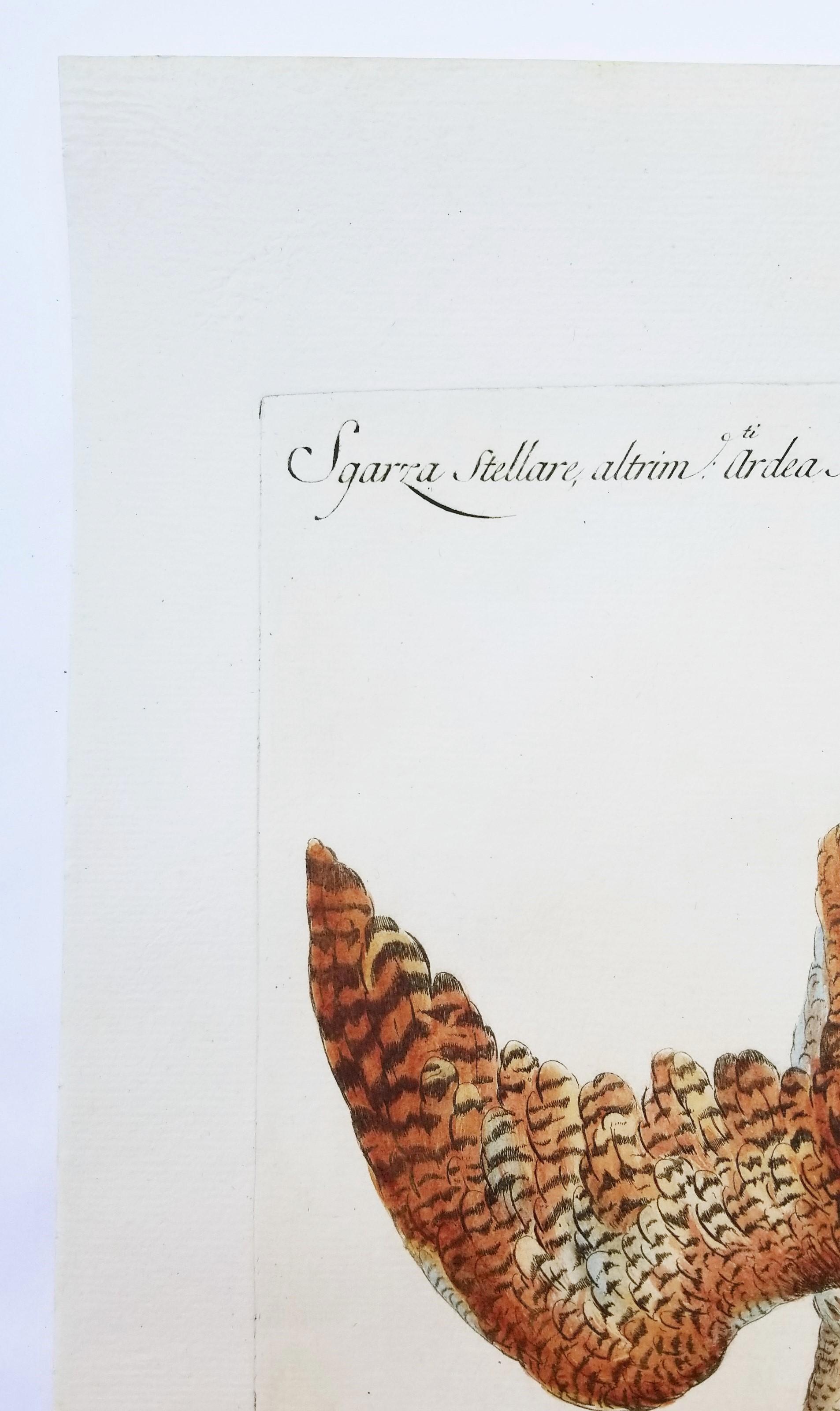 Heron - Beige Animal Print by MANETTI, Saverio.