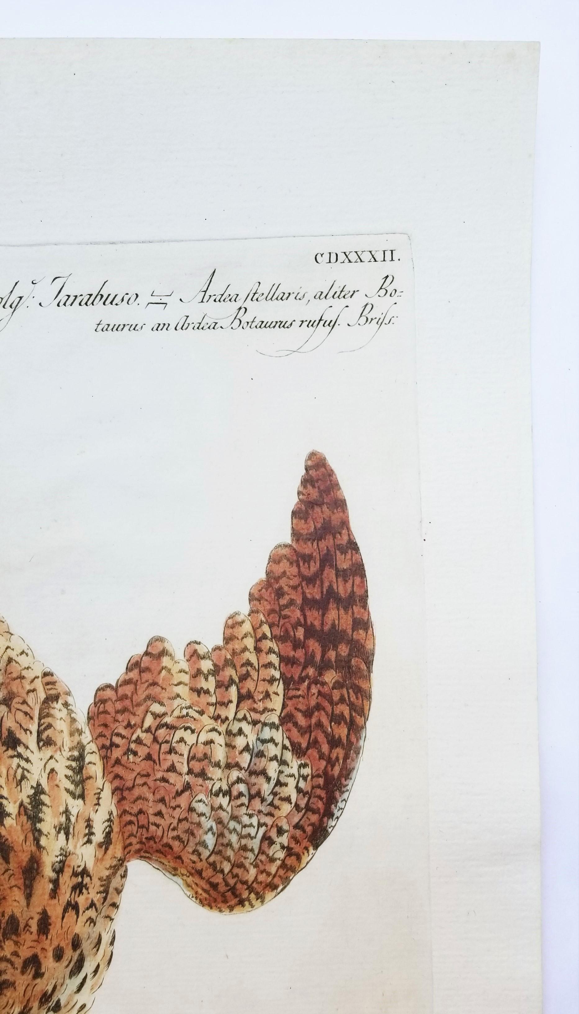 An original hand-colored engraving on watermarked laid paper by Italian artist Saverio Manetti (1723-1785) titled 
