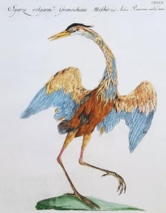 Antique Heron