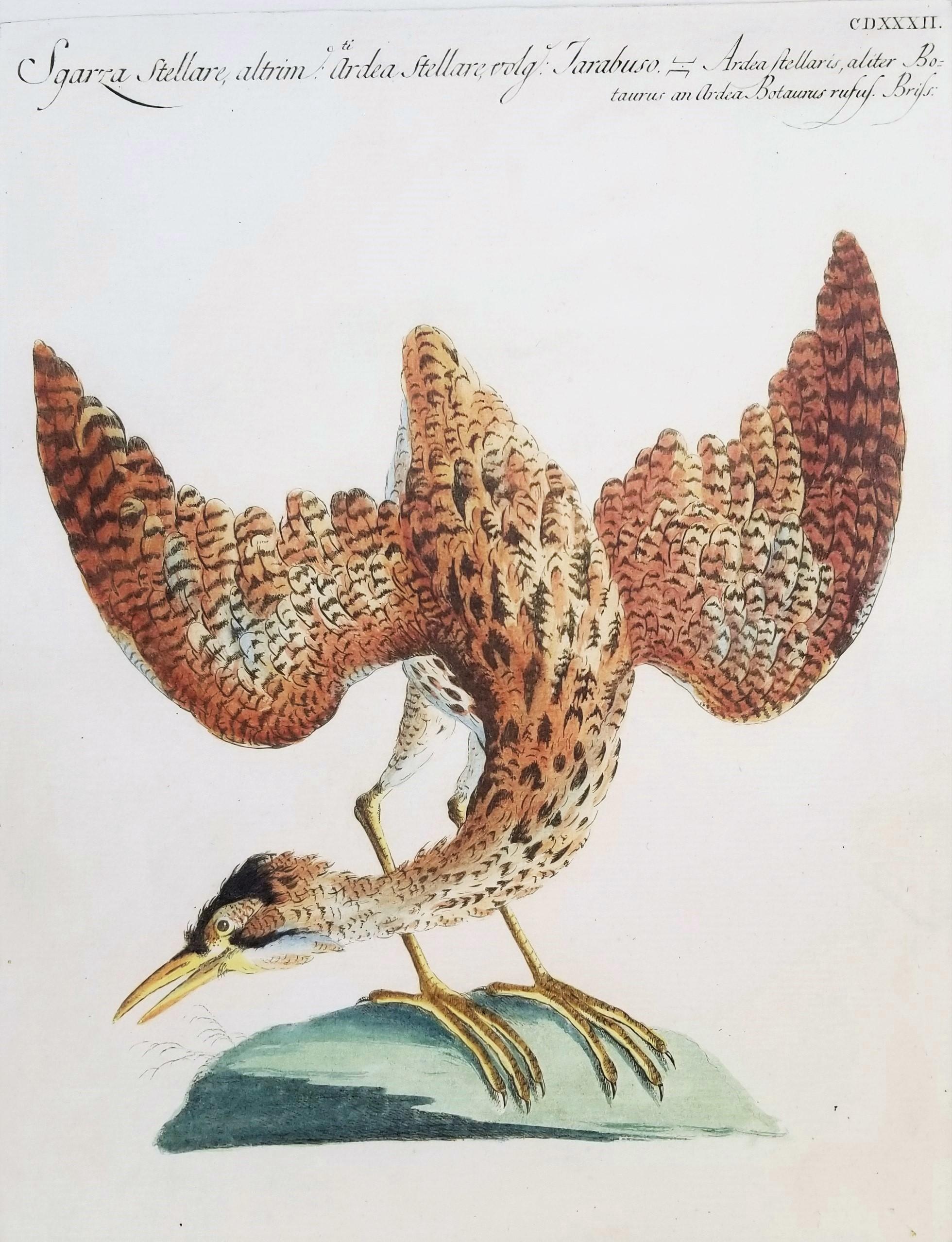 MANETTI, Saverio. Animal Print - Heron