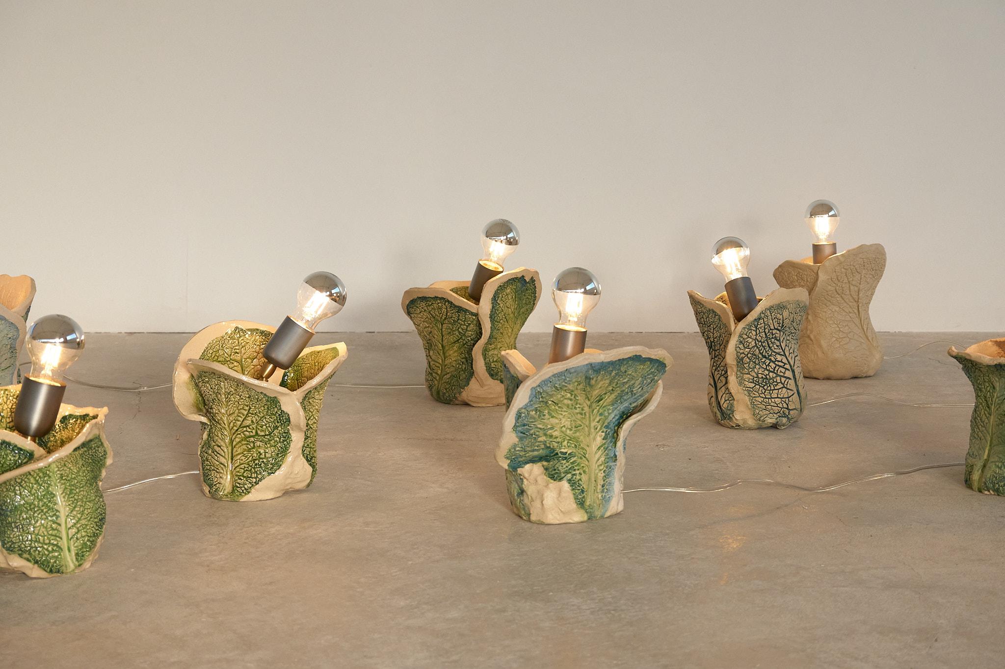 Italian Savoy Cabbage Fossil Lamp by Jenna Basso Pietrobon For Sale