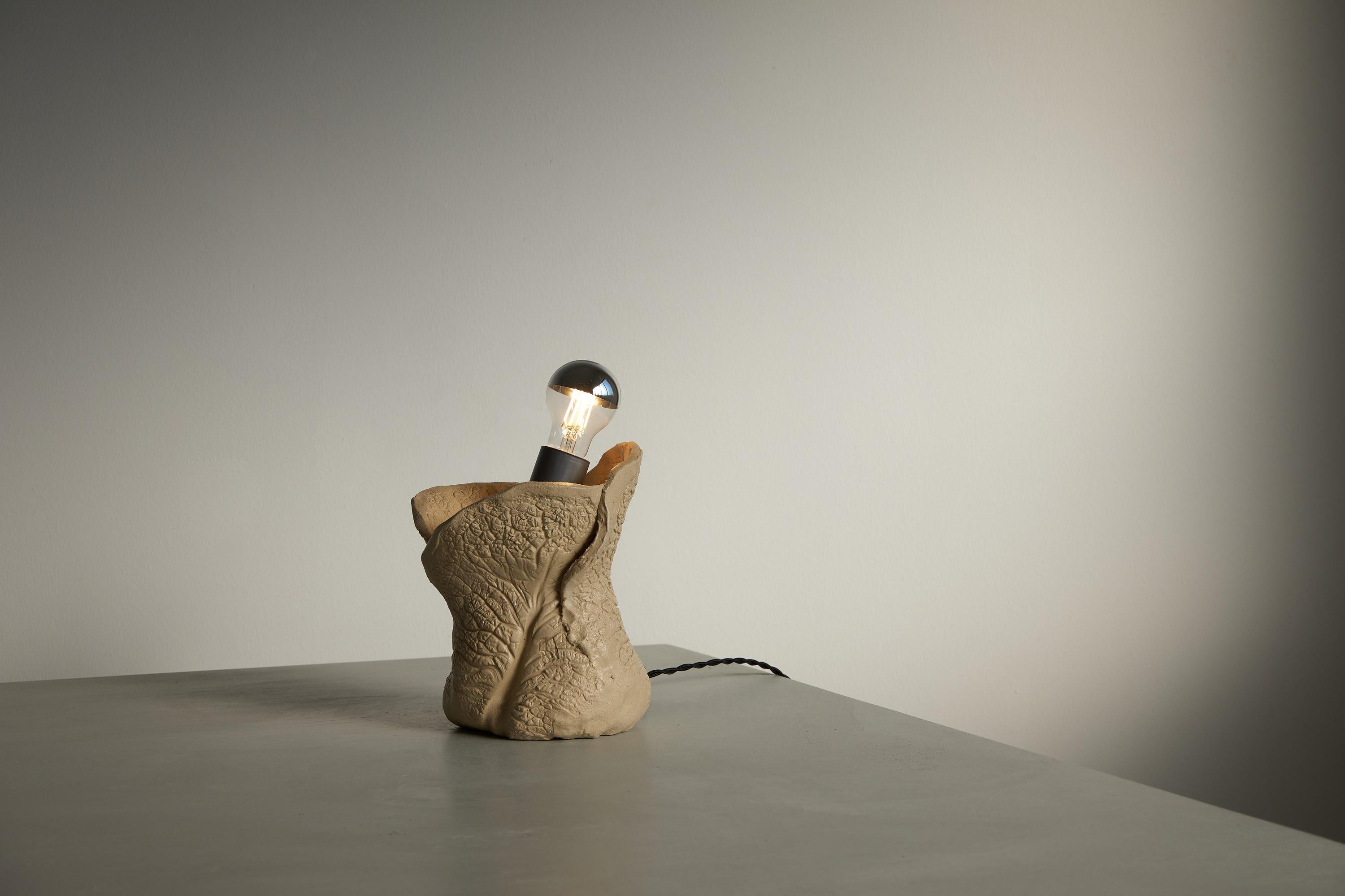 Savoy Cabbage Fossil Lamp by Jenna Basso Pietrobon In New Condition For Sale In New York, NY