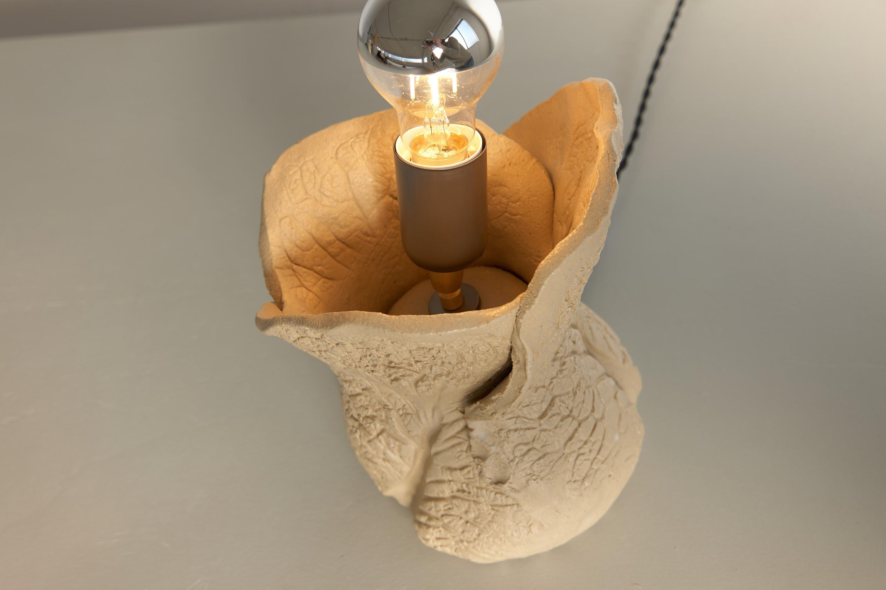Contemporary Savoy Cabbage Fossil Lamp by Jenna Basso Pietrobon For Sale
