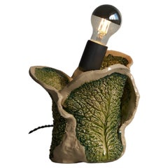 Savoy Cabbage Fossil-Lampe von Jenna Basso Pietrobon
