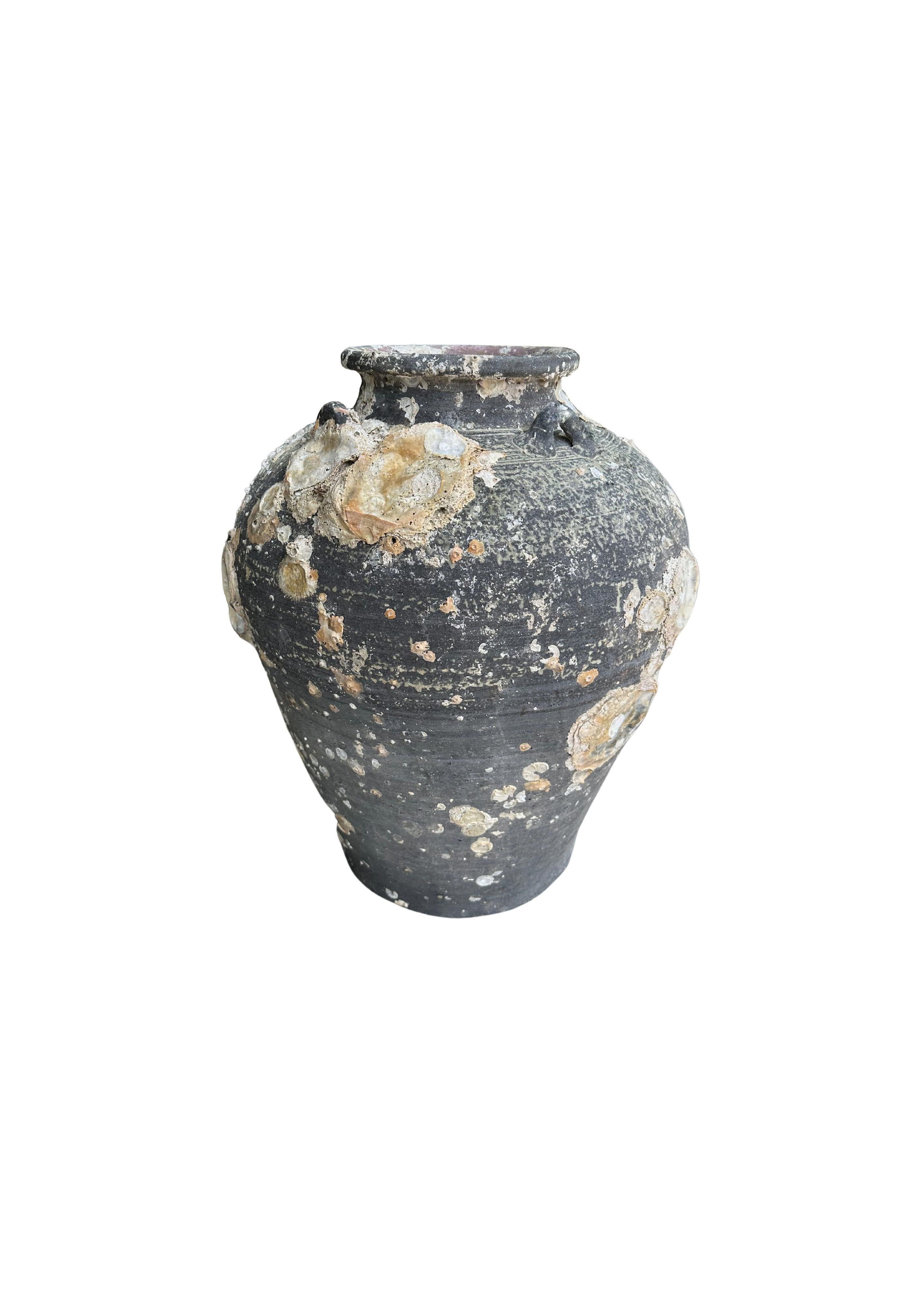 A wonderful example of a 16th Century Sawankhalok jar from a Shipwreck off the Coast of the Indonesian Island of Batam. Batam was one of the most substantial and influential ports in the South China Sea where an abundance of trade was conducted.