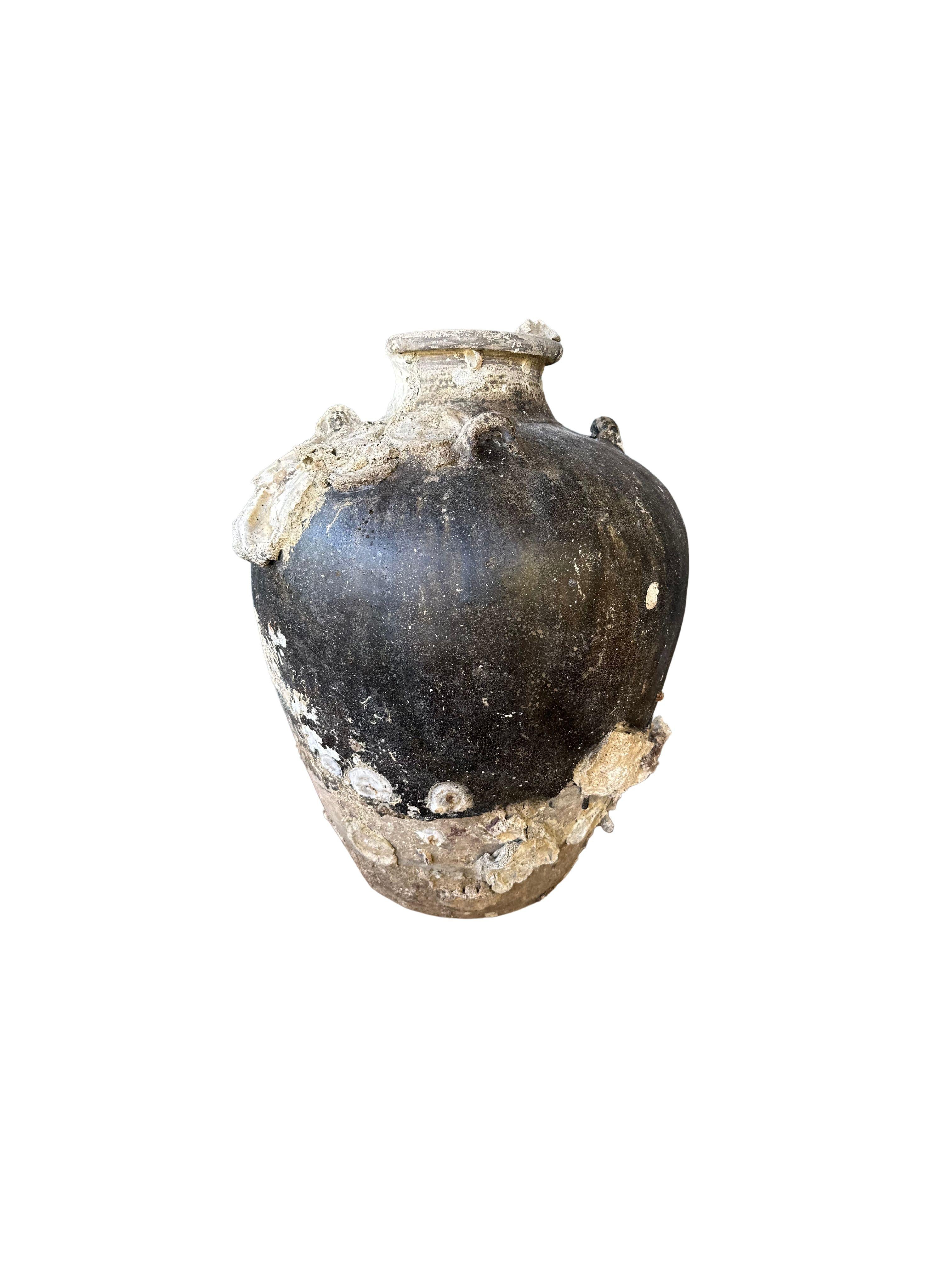Ein wunderbares Beispiel eines Sawankhalok-Gefäßes aus dem 16. Jahrhundert aus einem Schiffswrack vor der Küste der indonesischen Insel Batam. Batam war einer der bedeutendsten und einflussreichsten Häfen im Südchinesischen Meer, in dem ein reger
