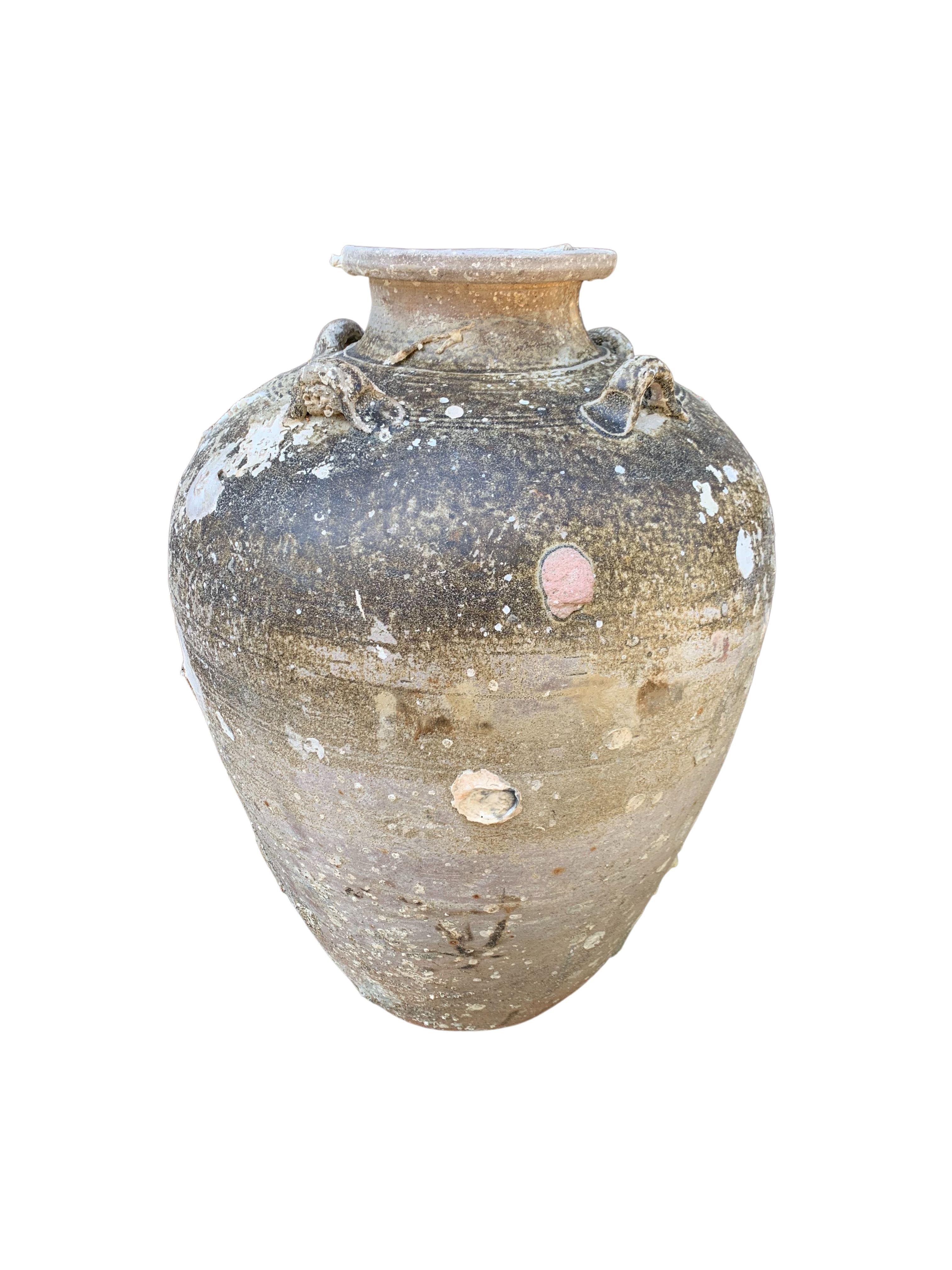 Other Sawankhalok Ship Wreck Jar from the Kingdom of Sukhothai, Thailand, 16th Century