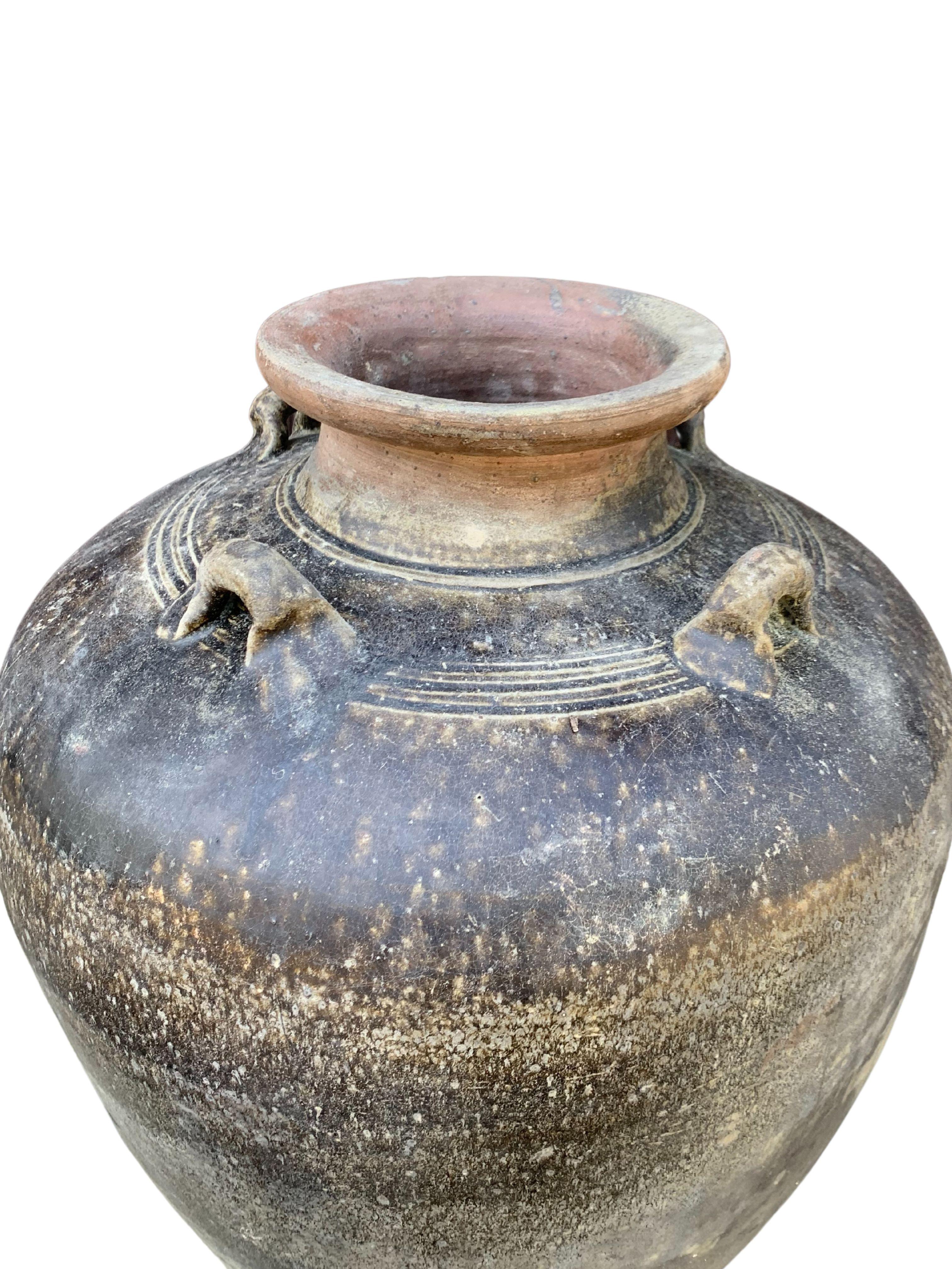 Sawankhalok Ship Wreck Jar from the Kingdom of Sukhothai, Thailand, 16th Century 1