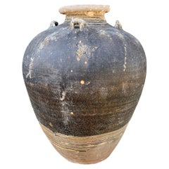 Sawankhalok Ship Wreck Jar From the Kingdom of Sukhothai, Thailand, 16th Century