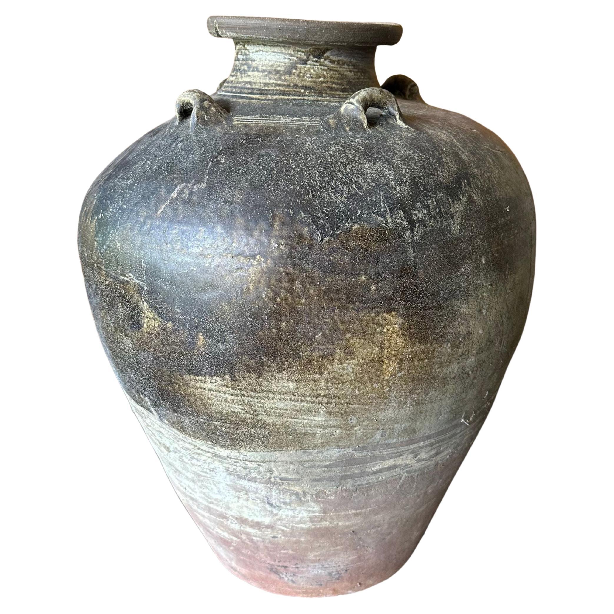 Sawankhalok Ship Wreck Jar from the Kingdom of Sukhothai, Thailand, 16th Century