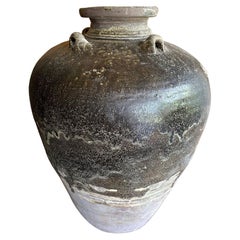 Sawankhalok Ship Wreck Jar from the Kingdom of Sukhothai, Thailand, 16th Century