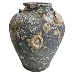 Sawankhalok Ship Wreck Jar from the Kingdom of Sukhothai, Thailand, 16th Century