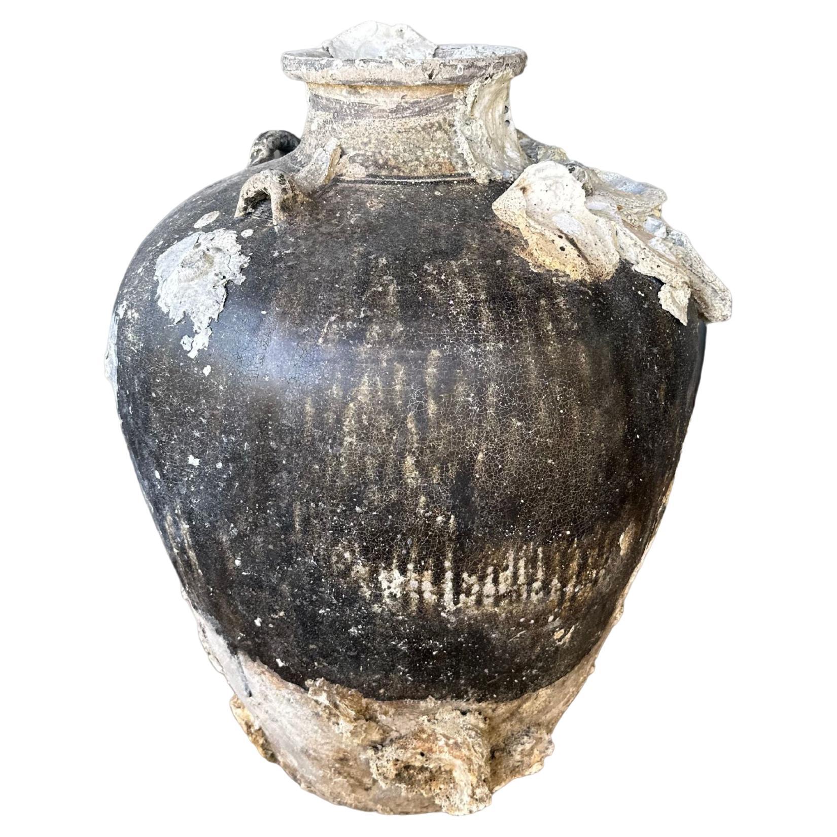 Sawankhalok Ship Wreck Jar from the Kingdom of Sukhothai, Thailand, 16th Century For Sale