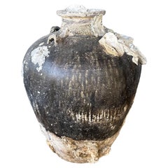 Antique Sawankhalok Ship Wreck Jar from the Kingdom of Sukhothai, Thailand, 16th Century