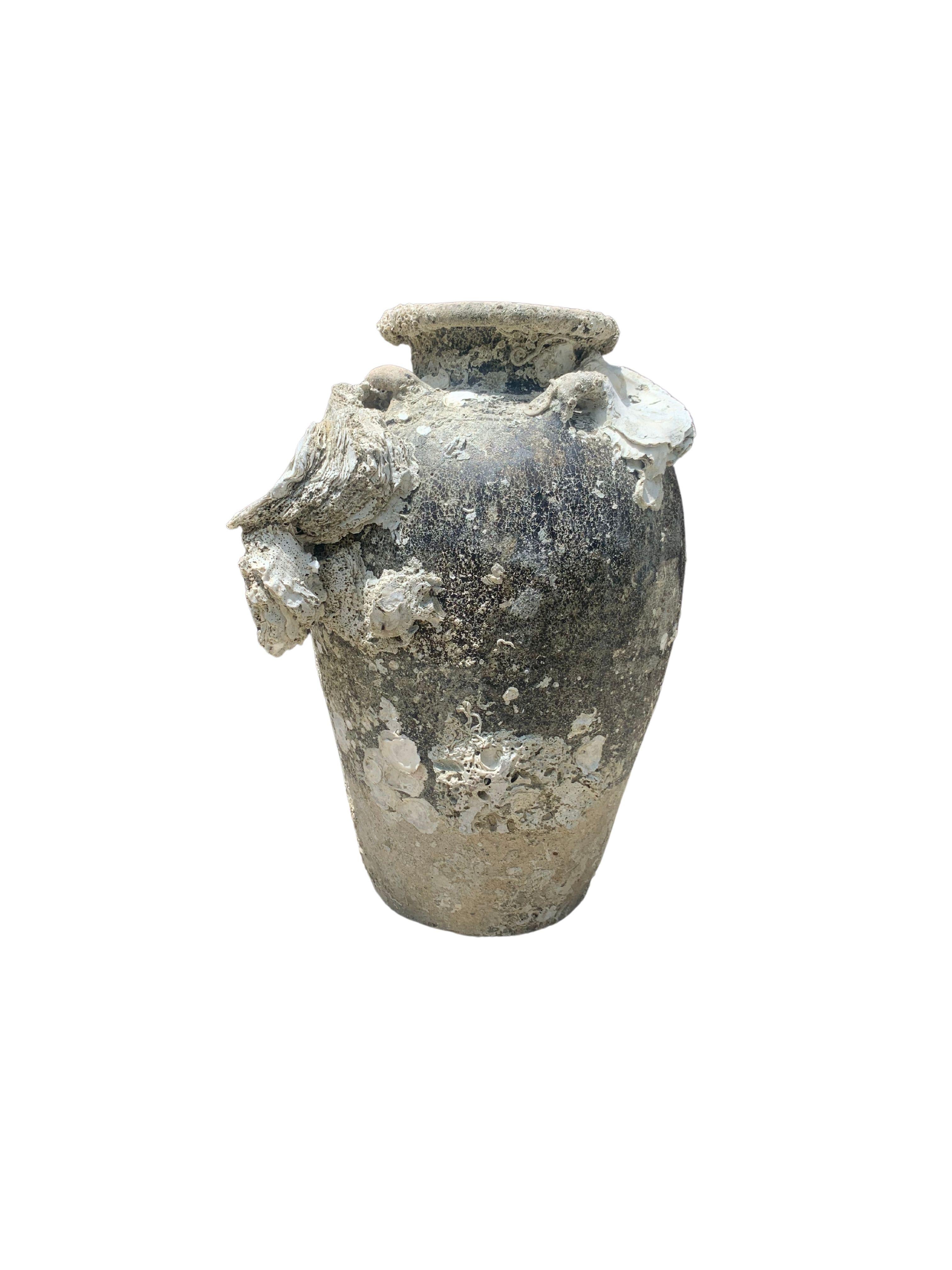 A wonderful example of a 19th Century Sawankhalok jar from a Shipwreck off the Coast of the Indonesian Island of Batam. Batam was one of the most substantial and influential ports in the South China Sea where an abundance of trade was conducted.
