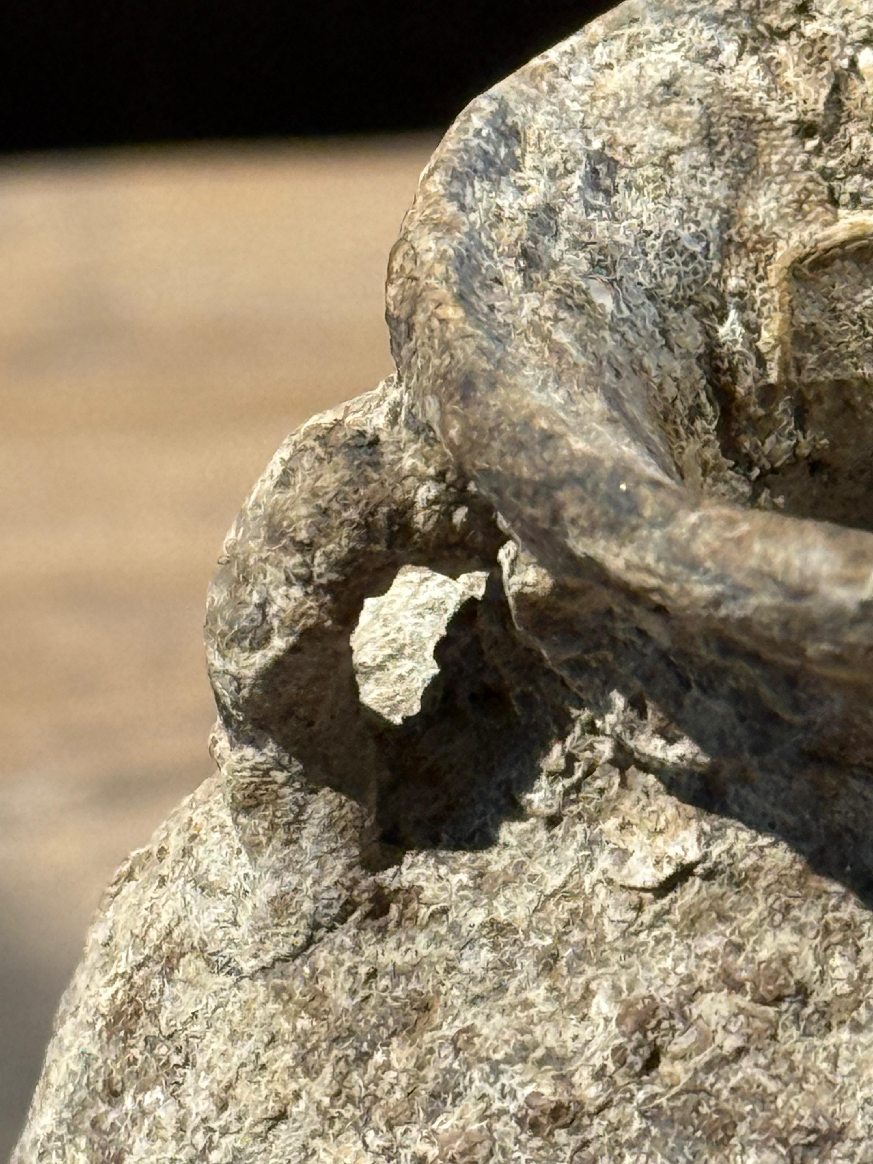 Thaïlandais Bouteille de parfum de l'épave de navire Sawankhalok, Thaïlande, XVIe siècle en vente