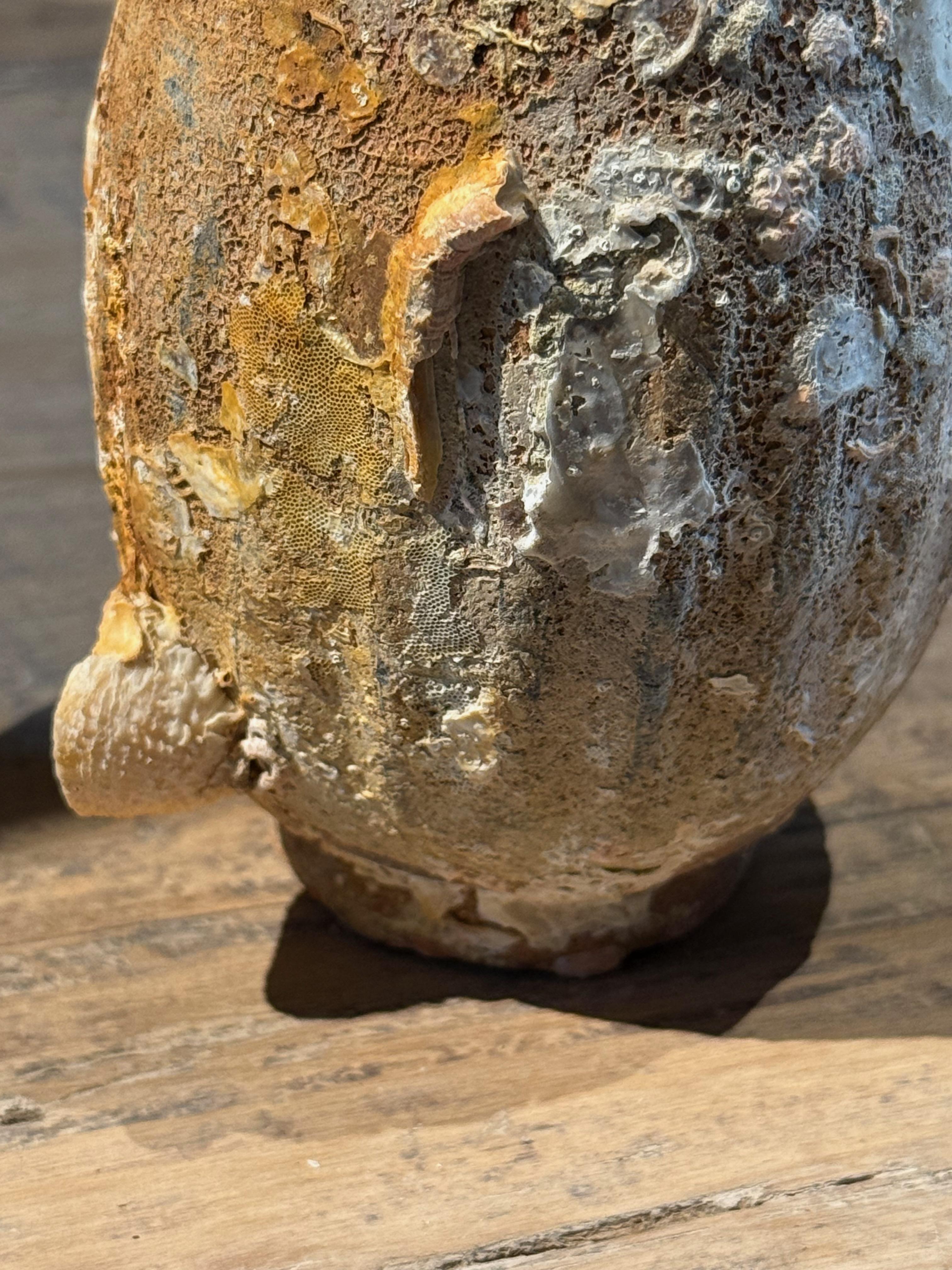 Botella de perfume del naufragio de Sawankhalok, Tailandia, siglo XVI Cerámico en venta