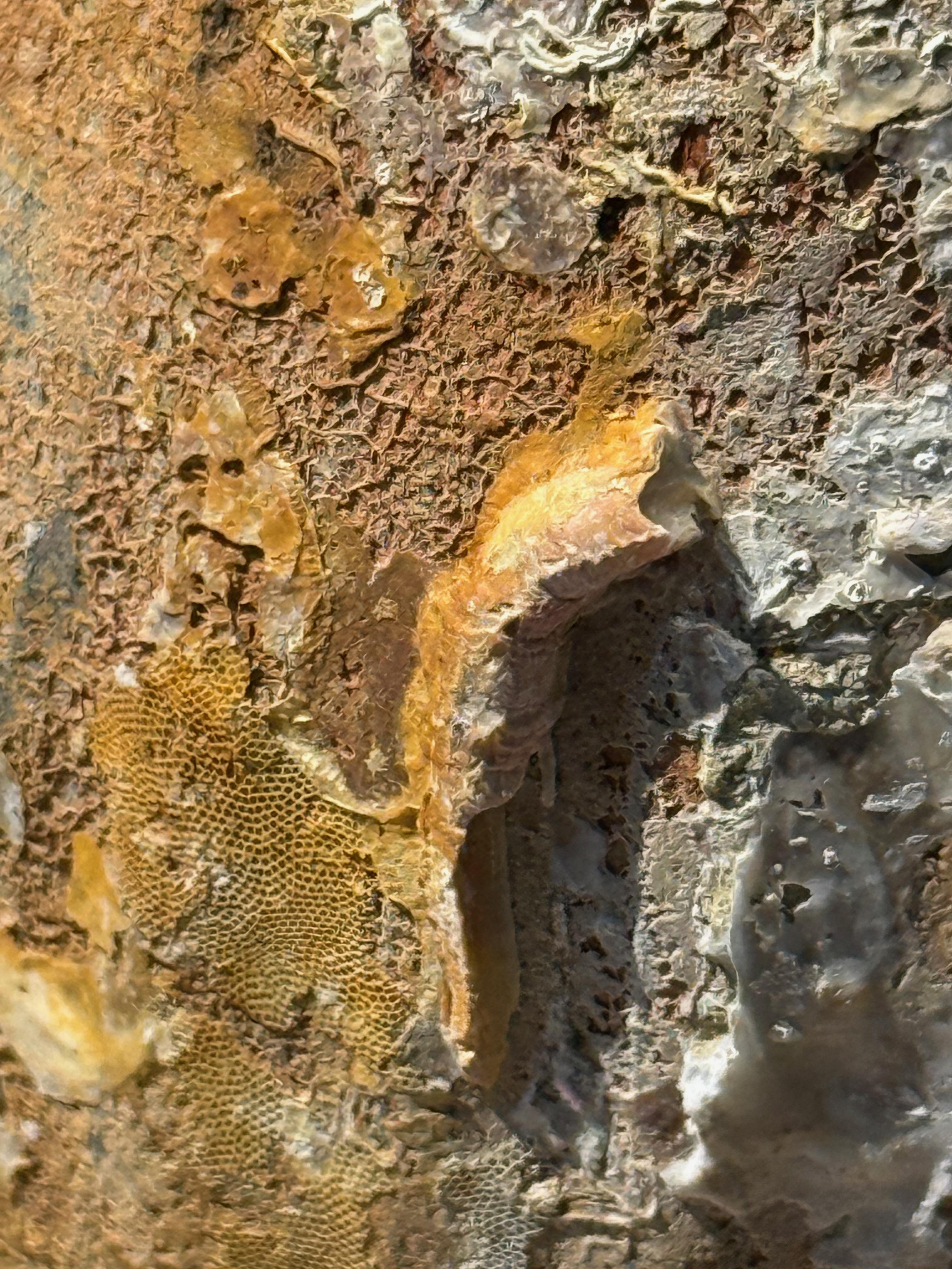 Botella de perfume del naufragio de Sawankhalok, Tailandia, siglo XVI en venta 1