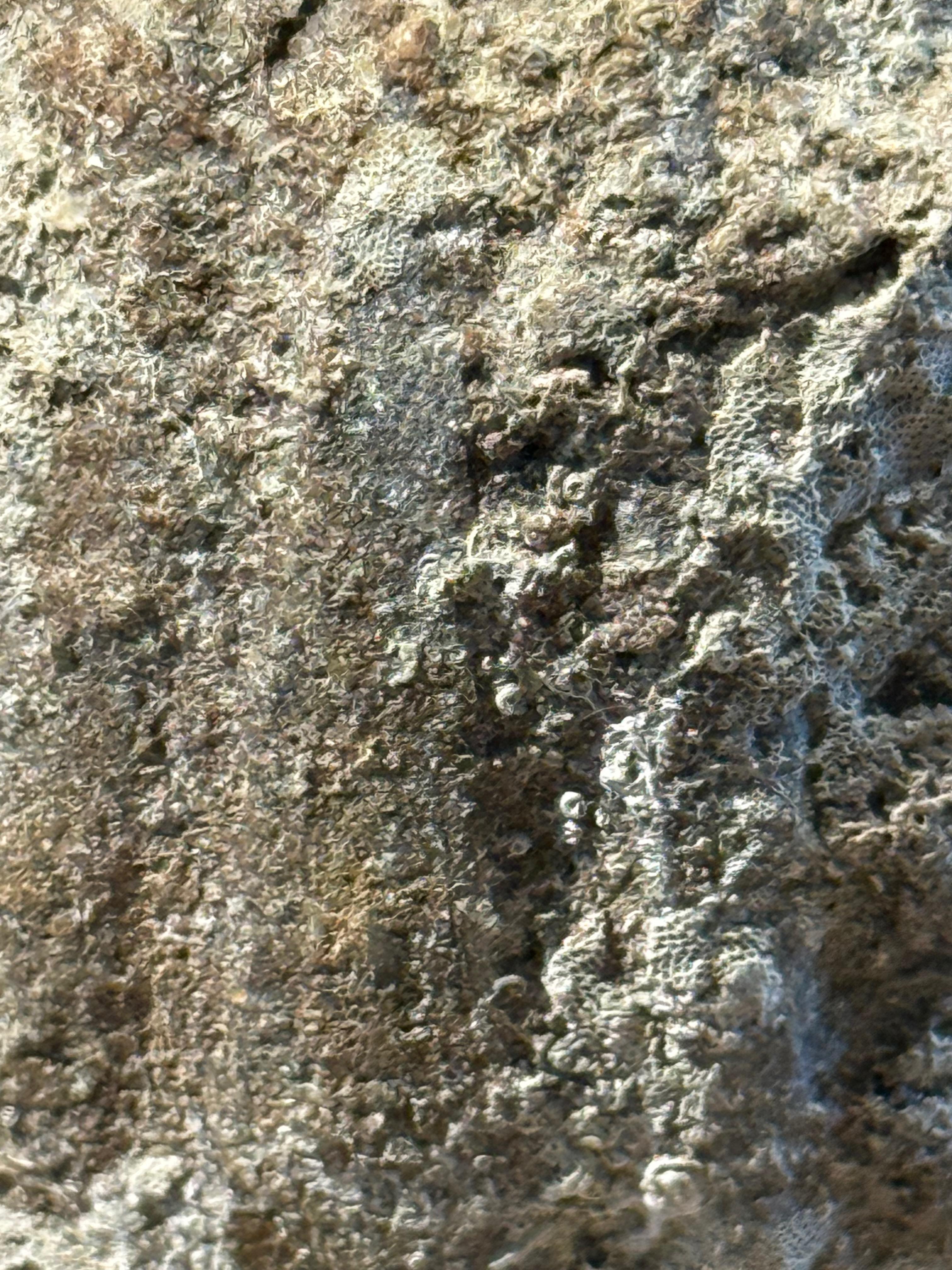 Bouteille de parfum de l'épave de navire Sawankhalok, Thaïlande, XVIe siècle en vente 1