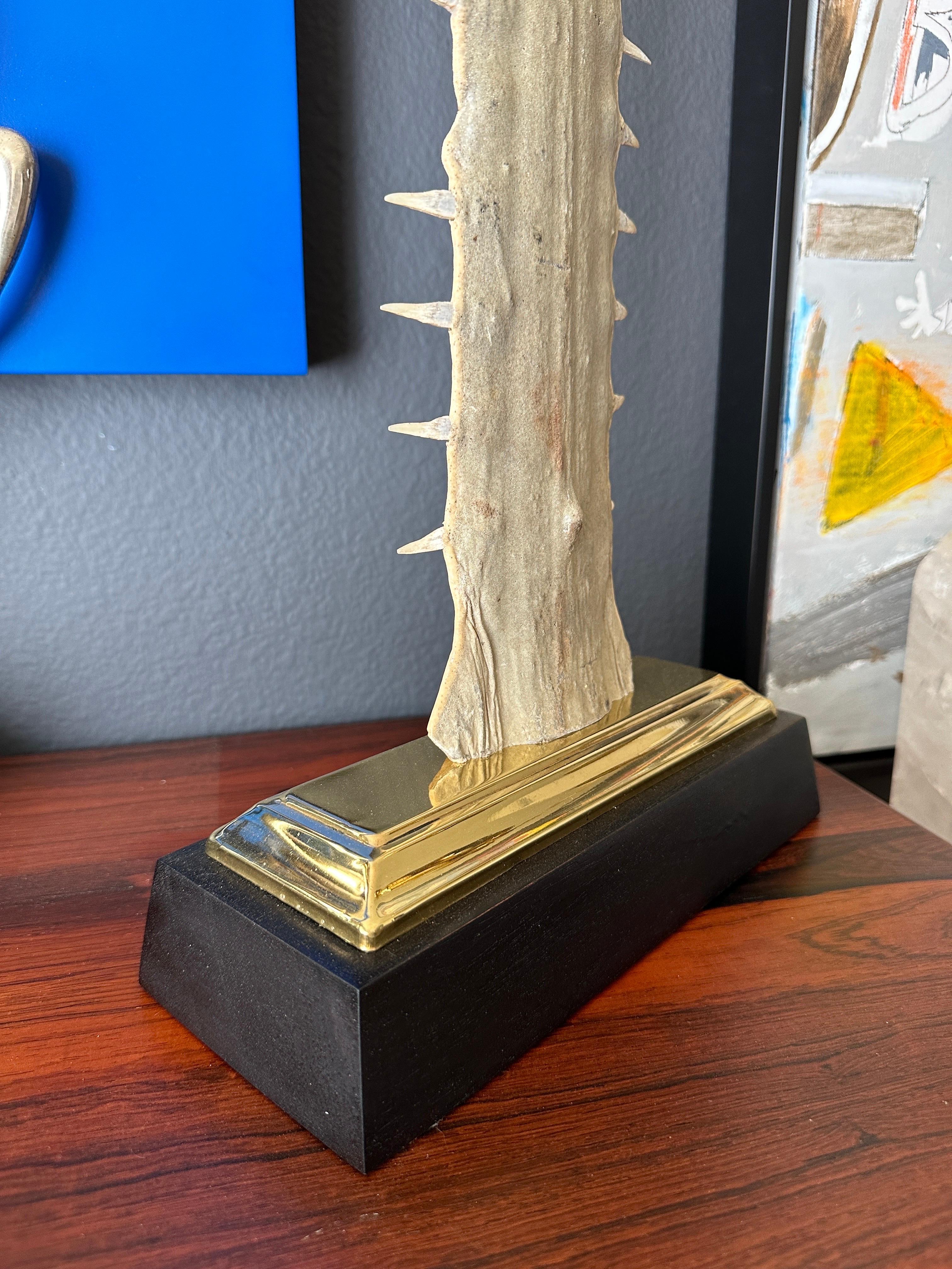 Bone Sawfish Rostrum / Bill
