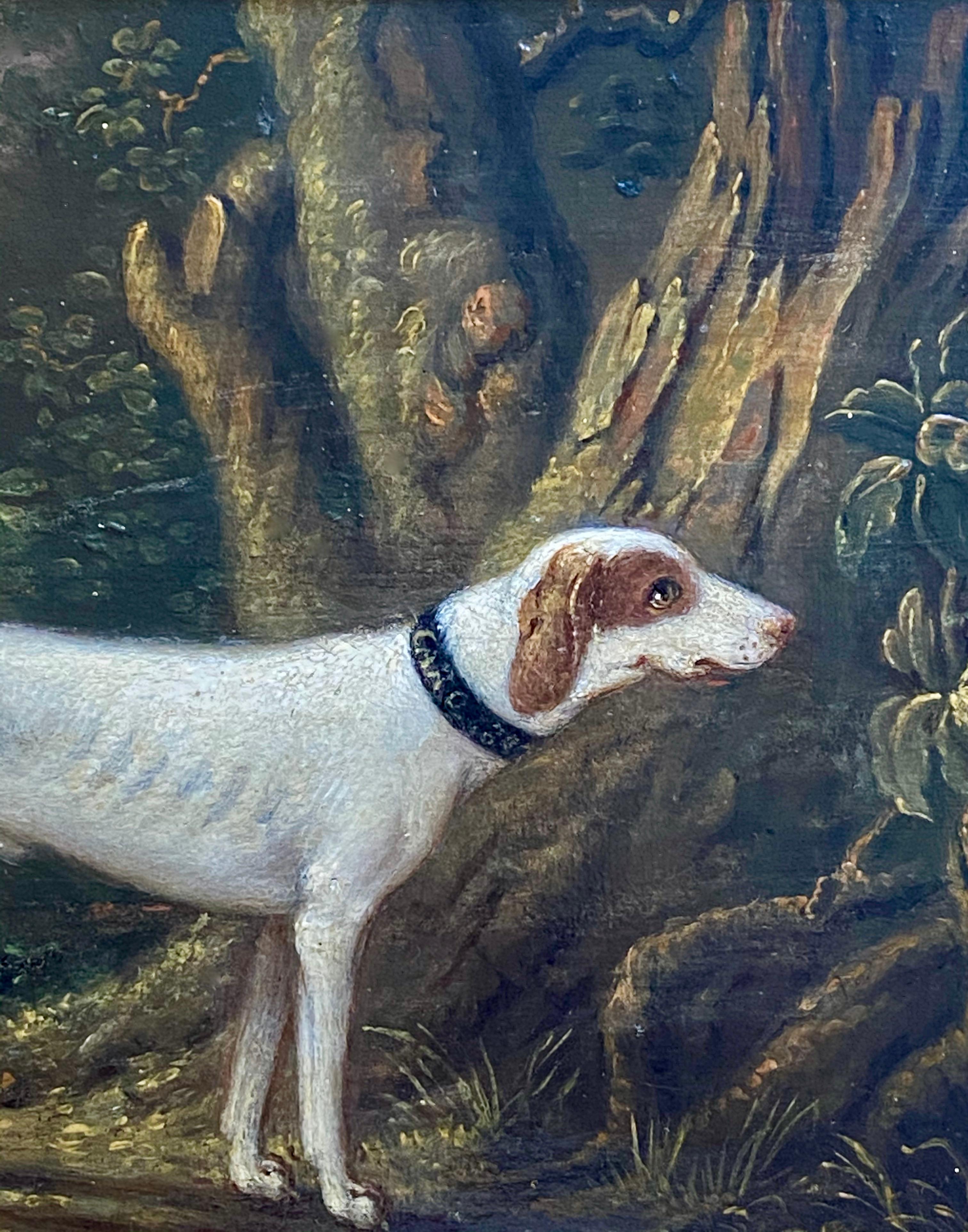19TH CENTURY OIL OF A HUNTING DOG IN A LANDSCAPE - CIRCLE OF SAWREY GILPIN ( - Black Interior Painting by Sawrey Gilpin