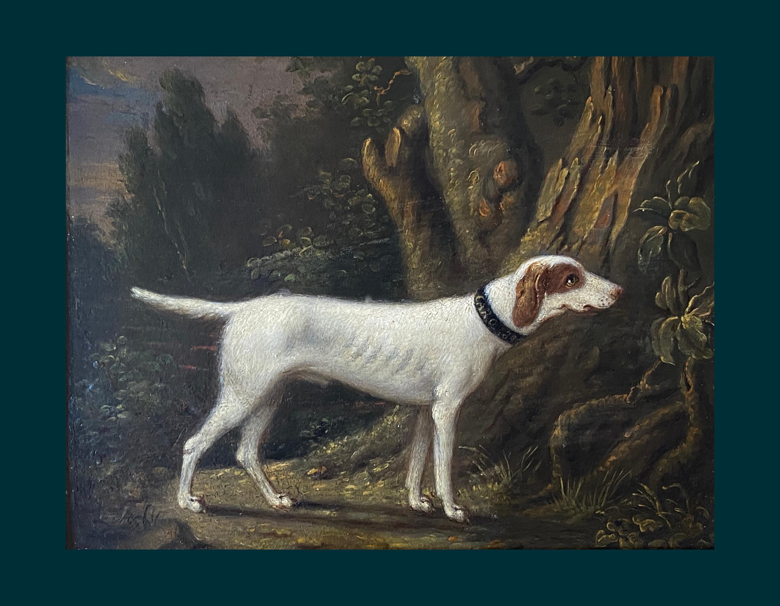 19TH CENTURY OIL OF A HUNTING DOG IN A LANDSCAPE - CIRCLE OF SAWREY GILPIN ( 2