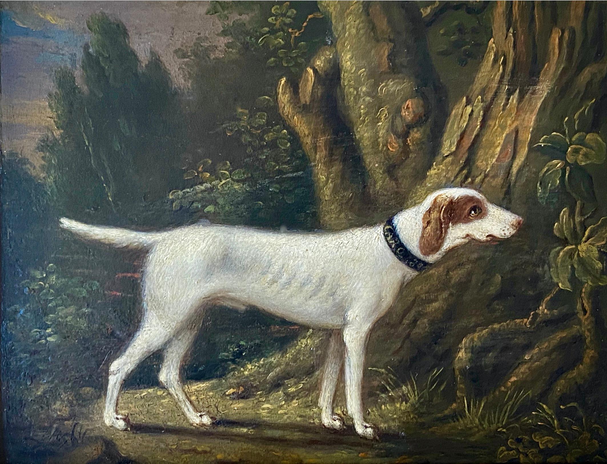 Sawrey Gilpin Interior Painting - 19TH CENTURY OIL OF A HUNTING DOG IN A LANDSCAPE - CIRCLE OF SAWREY GILPIN (