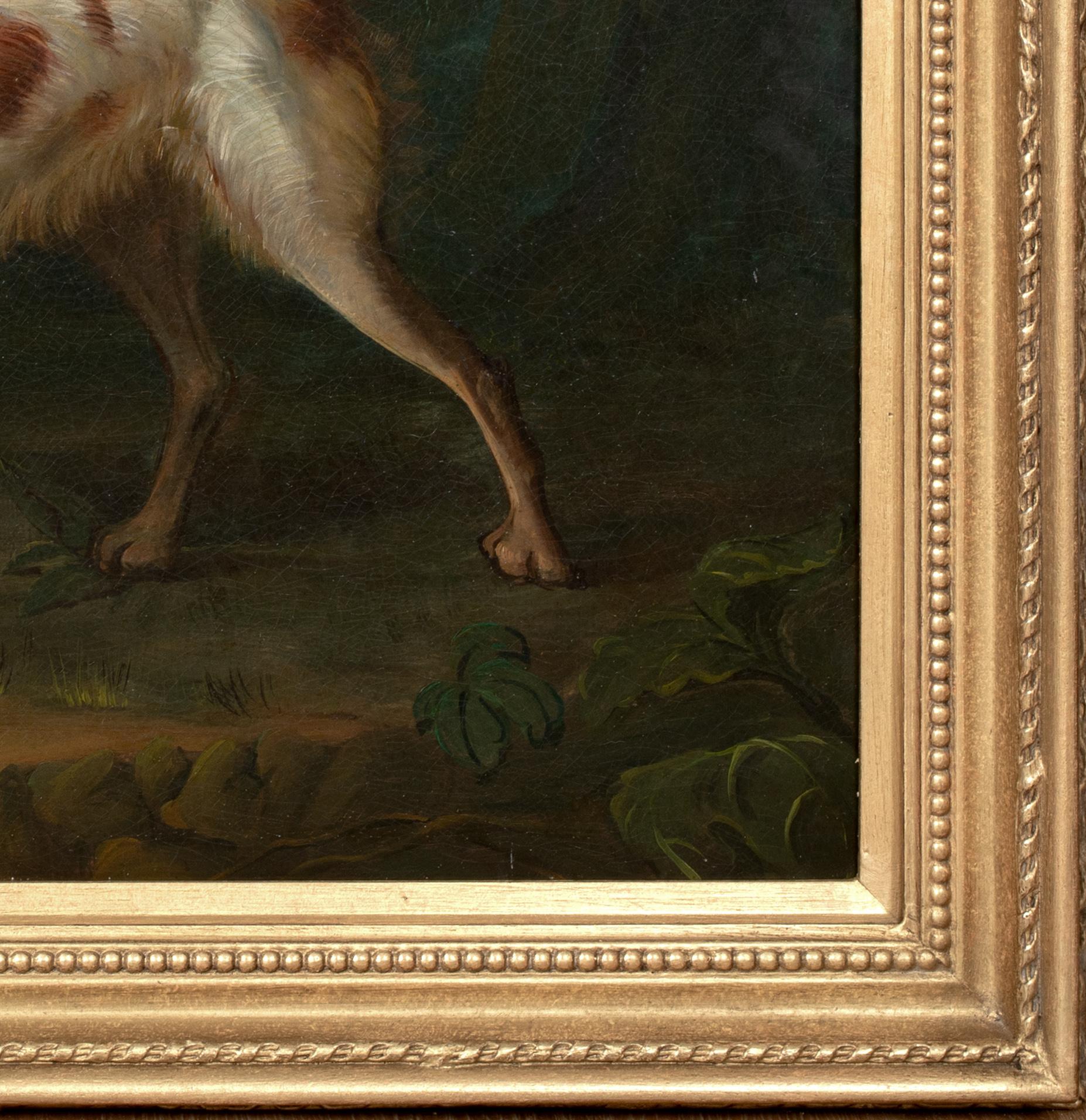 Porträt eines Brown & White Setters, 18. Jahrhundert im Angebot 6