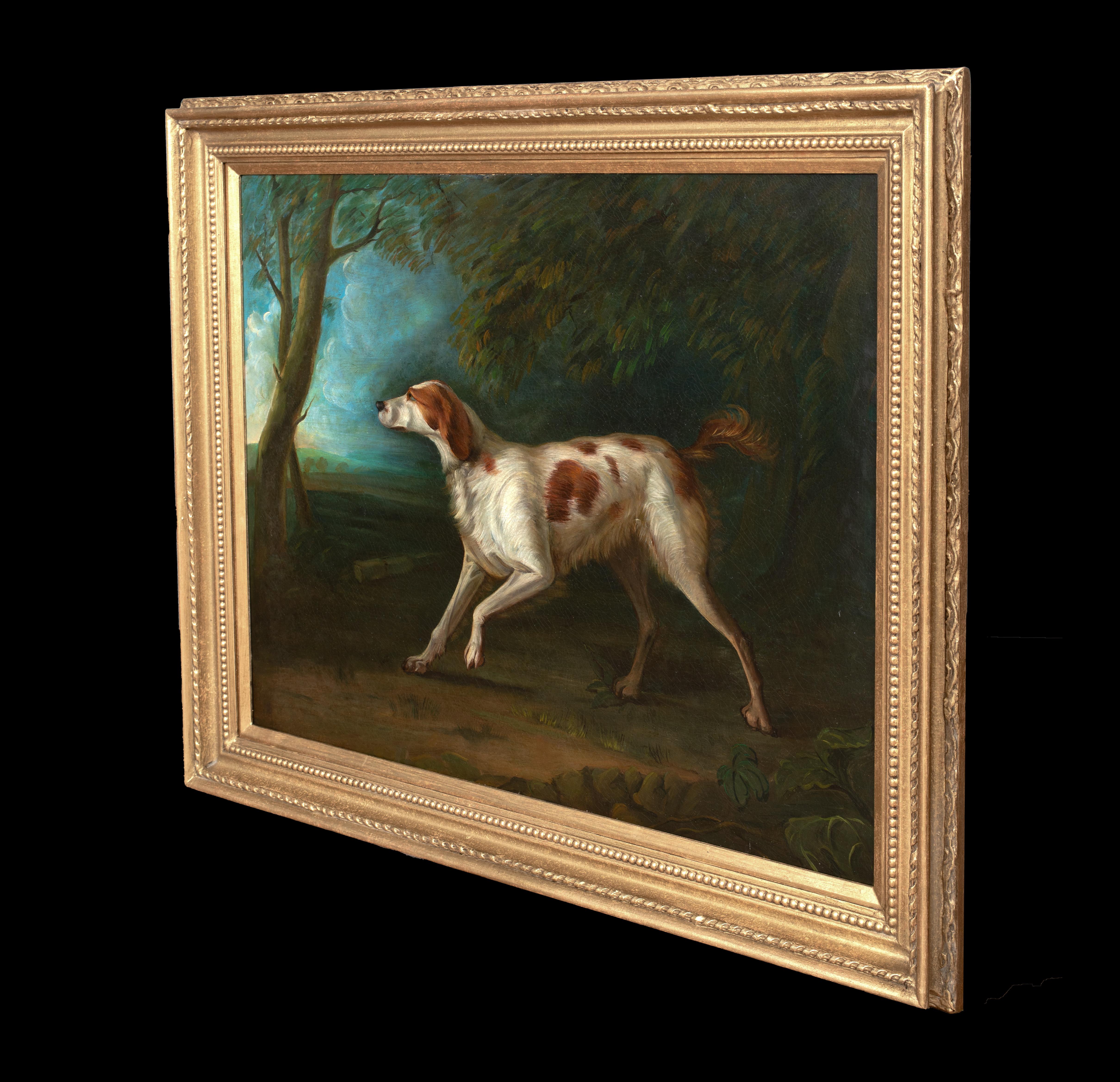 Porträt eines Brown & White Setters, 18. Jahrhundert im Angebot 7