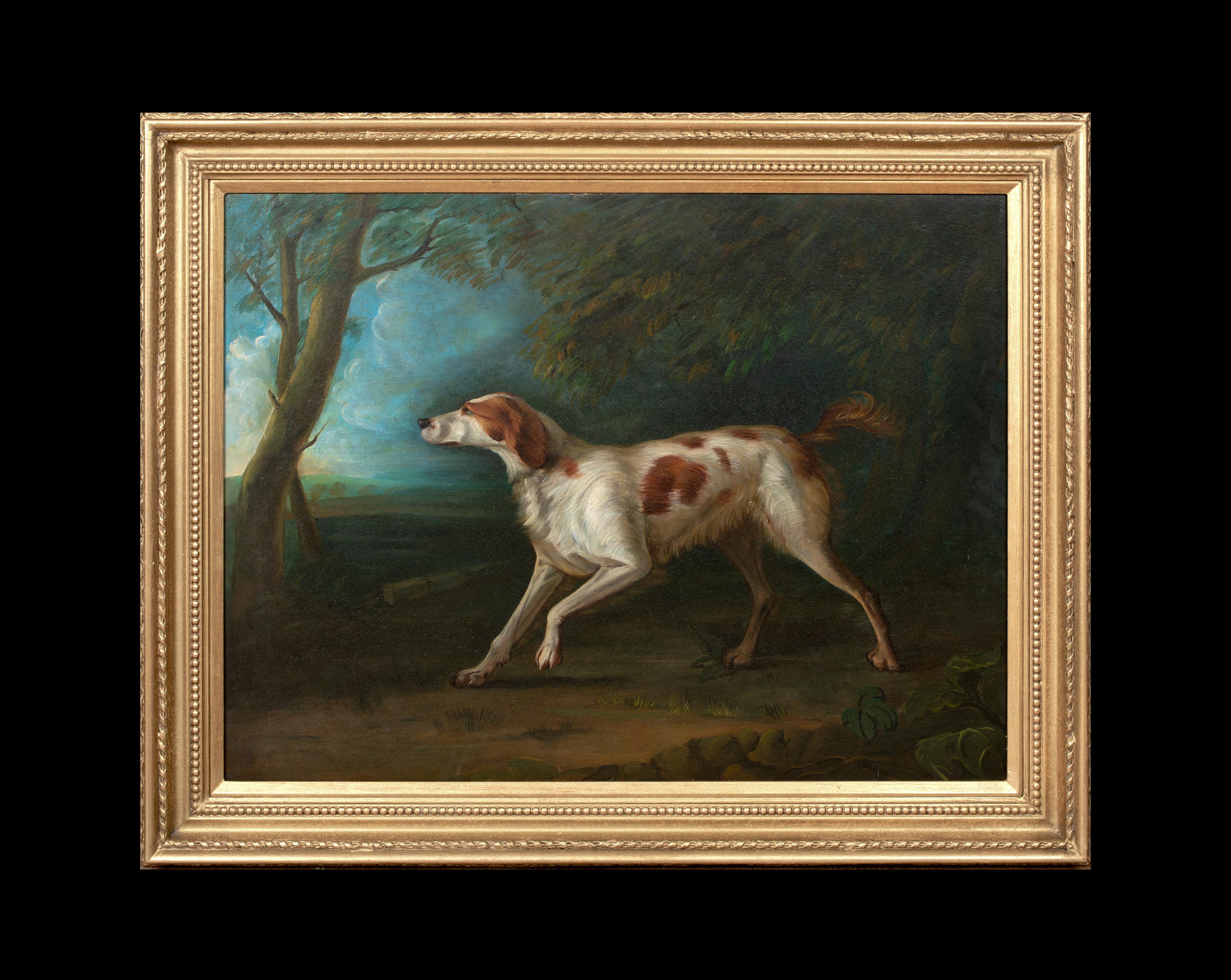 Porträt eines Brown & White Setters, 18. Jahrhundert – Painting von Sawrey Gilpin