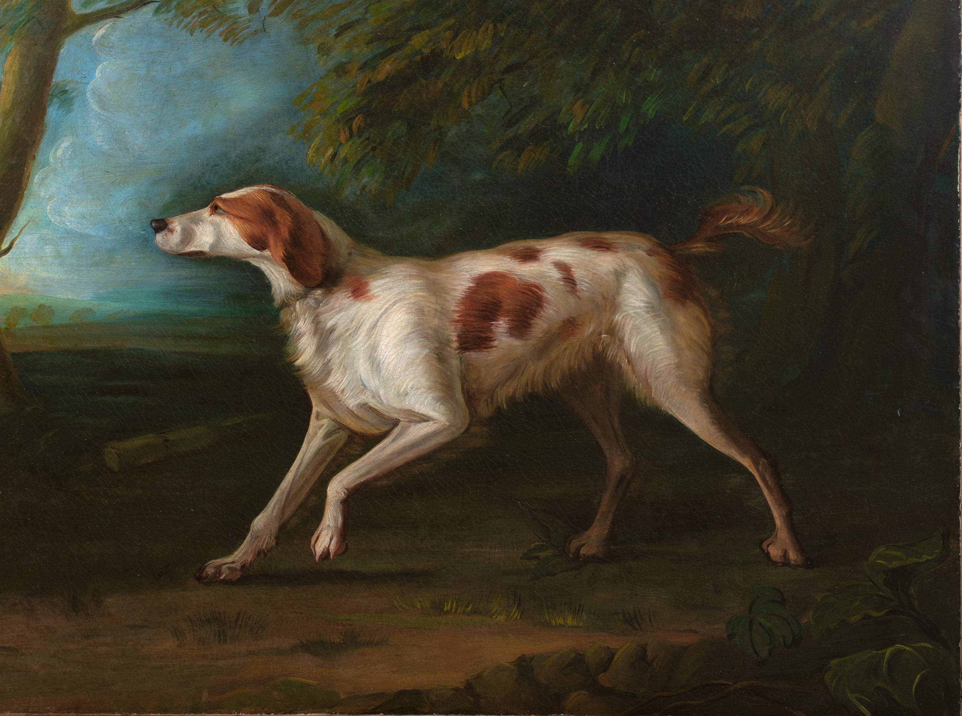 Porträt eines Brown & White Setters, 18. Jahrhundert (Schwarz), Animal Painting, von Sawrey Gilpin