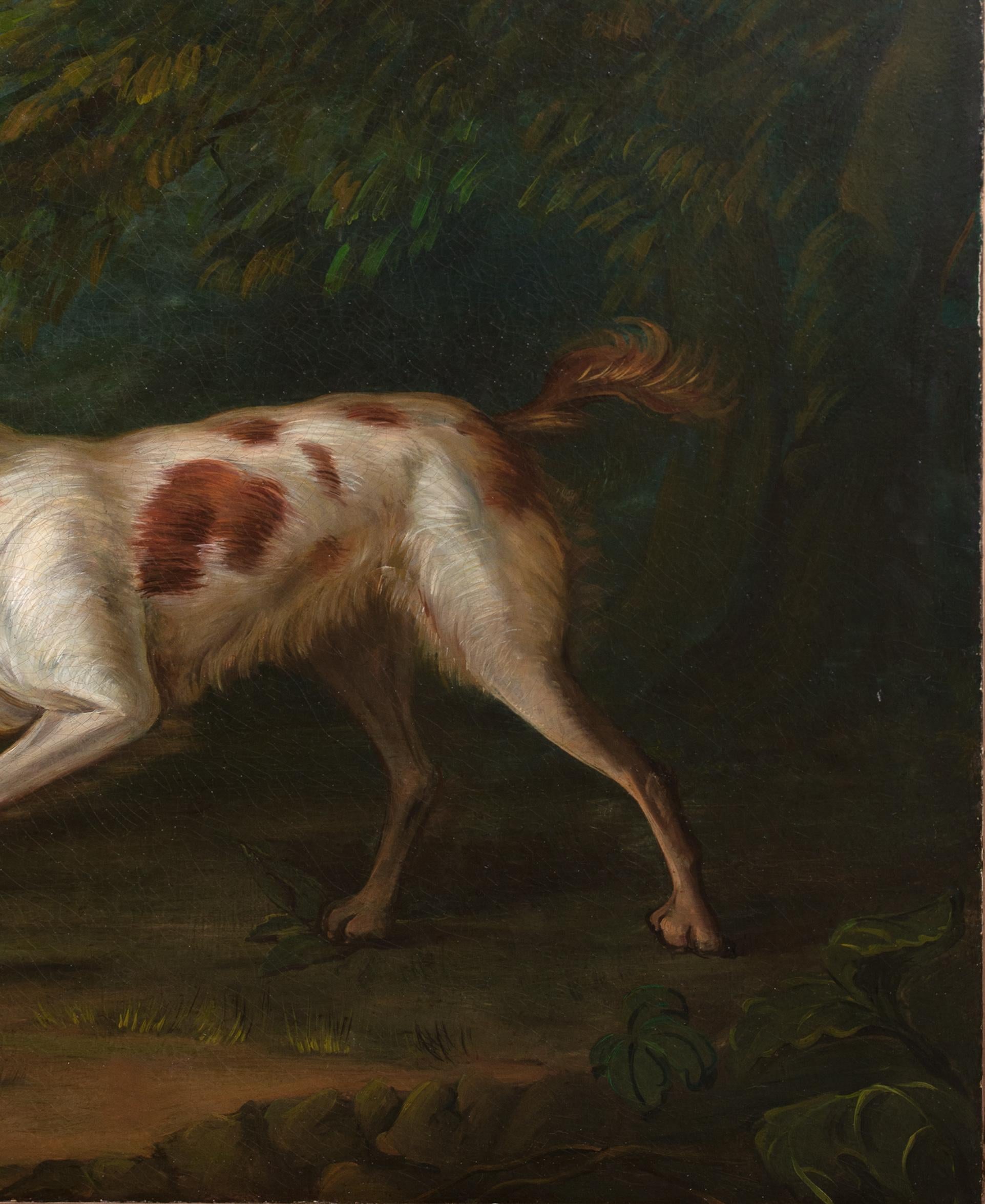 Porträt eines Brown & White Setters, 18. Jahrhundert im Angebot 1