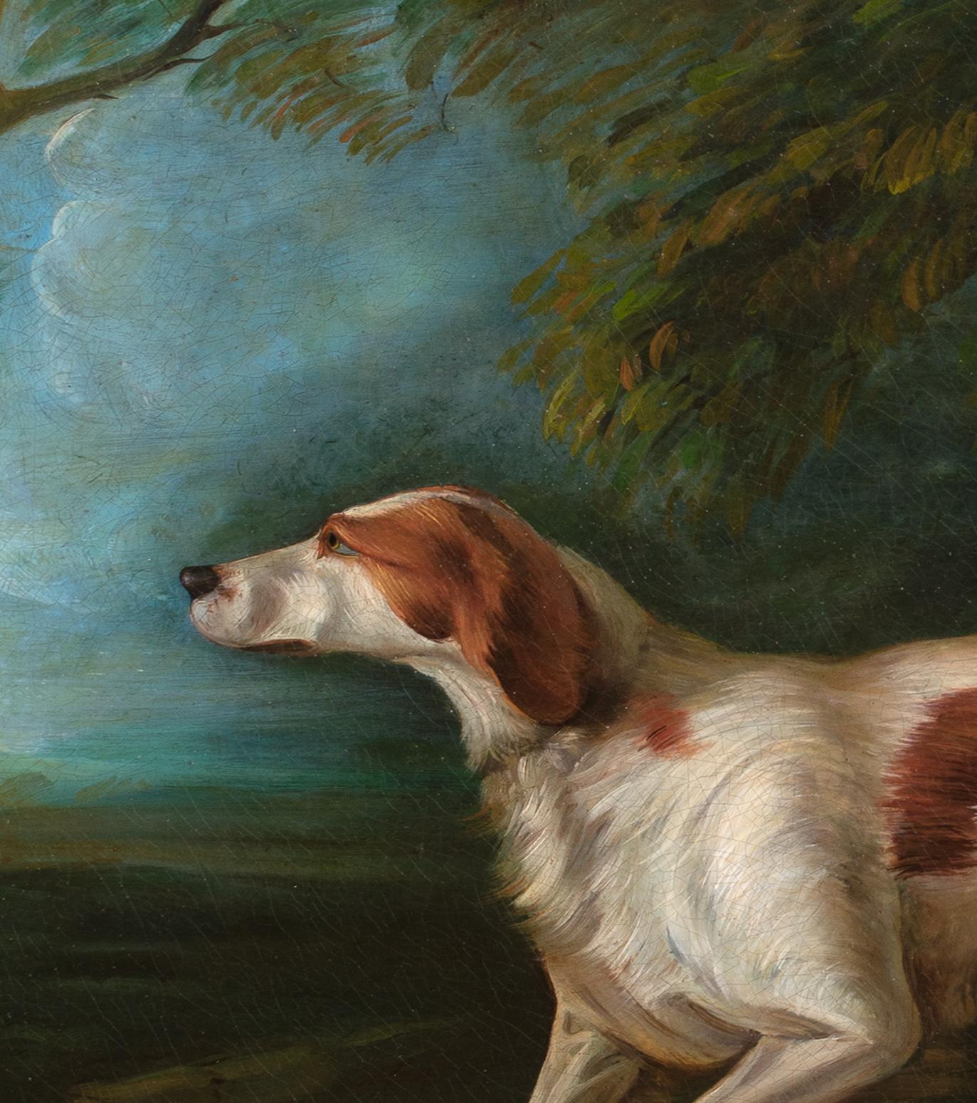 Porträt eines Brown & White Setters, 18. Jahrhundert im Angebot 2